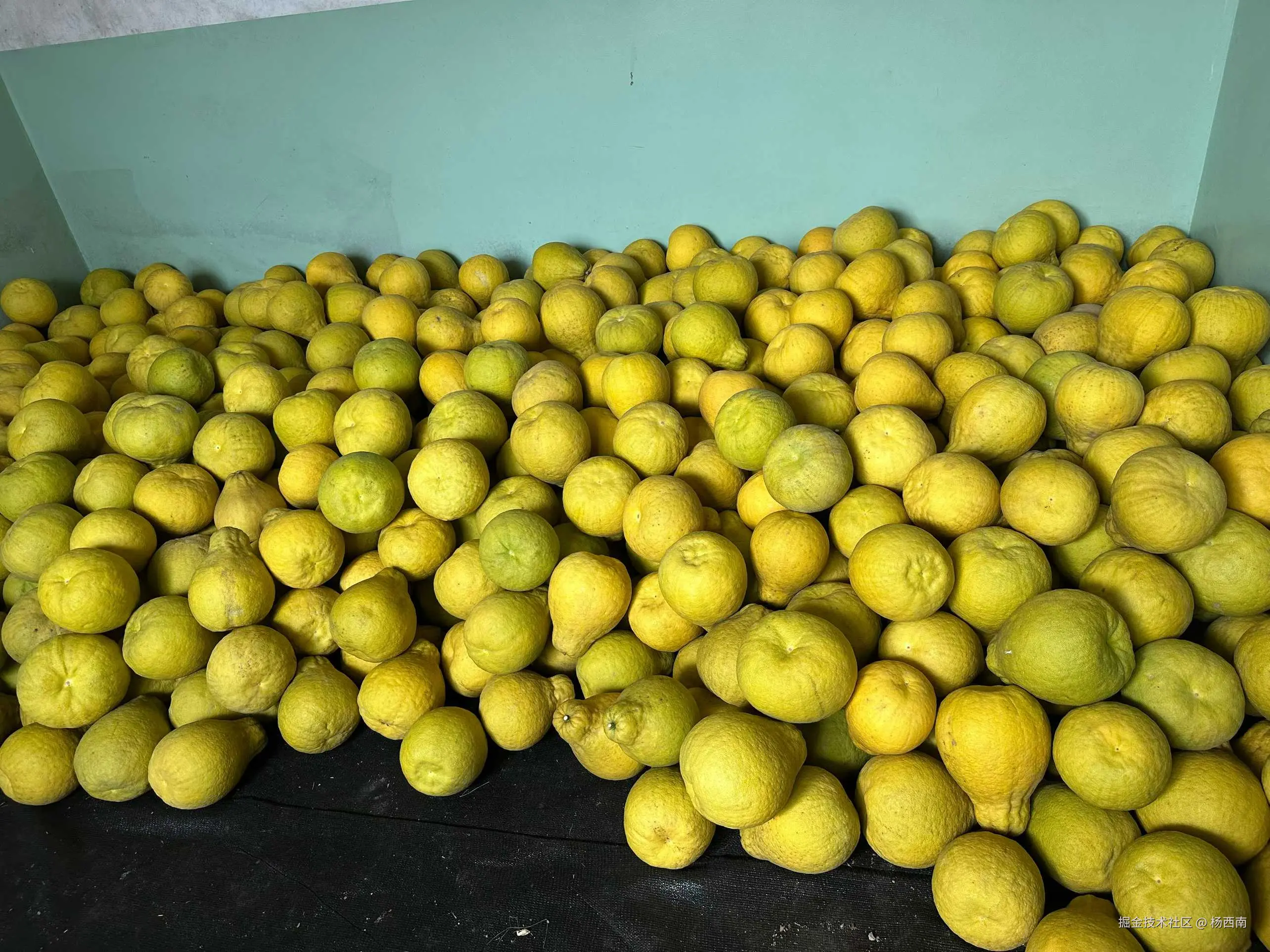 杨西南于2026-01-09 14:11发布的图片