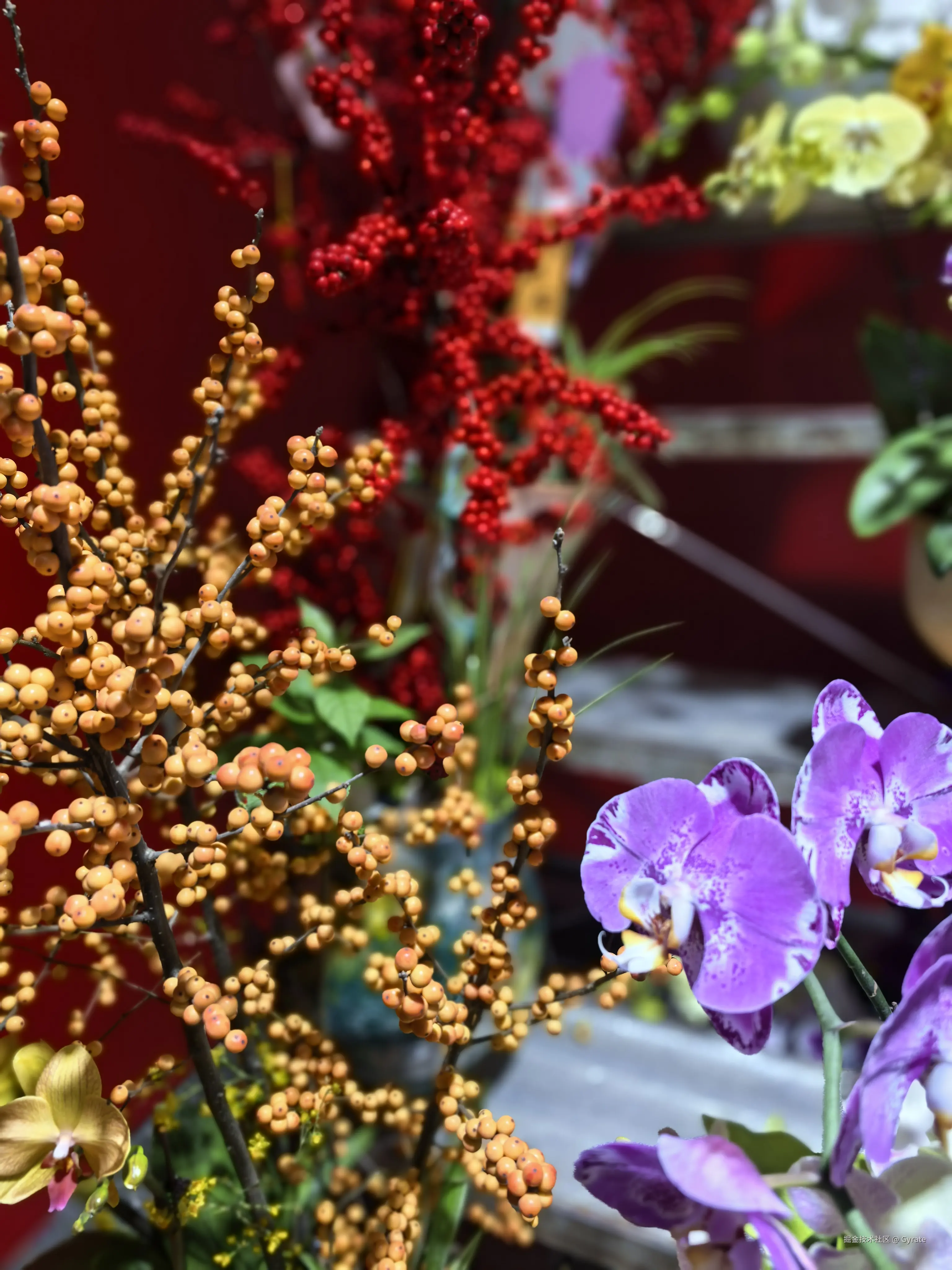 Gyrate于2026-02-13 09:58发布的图片