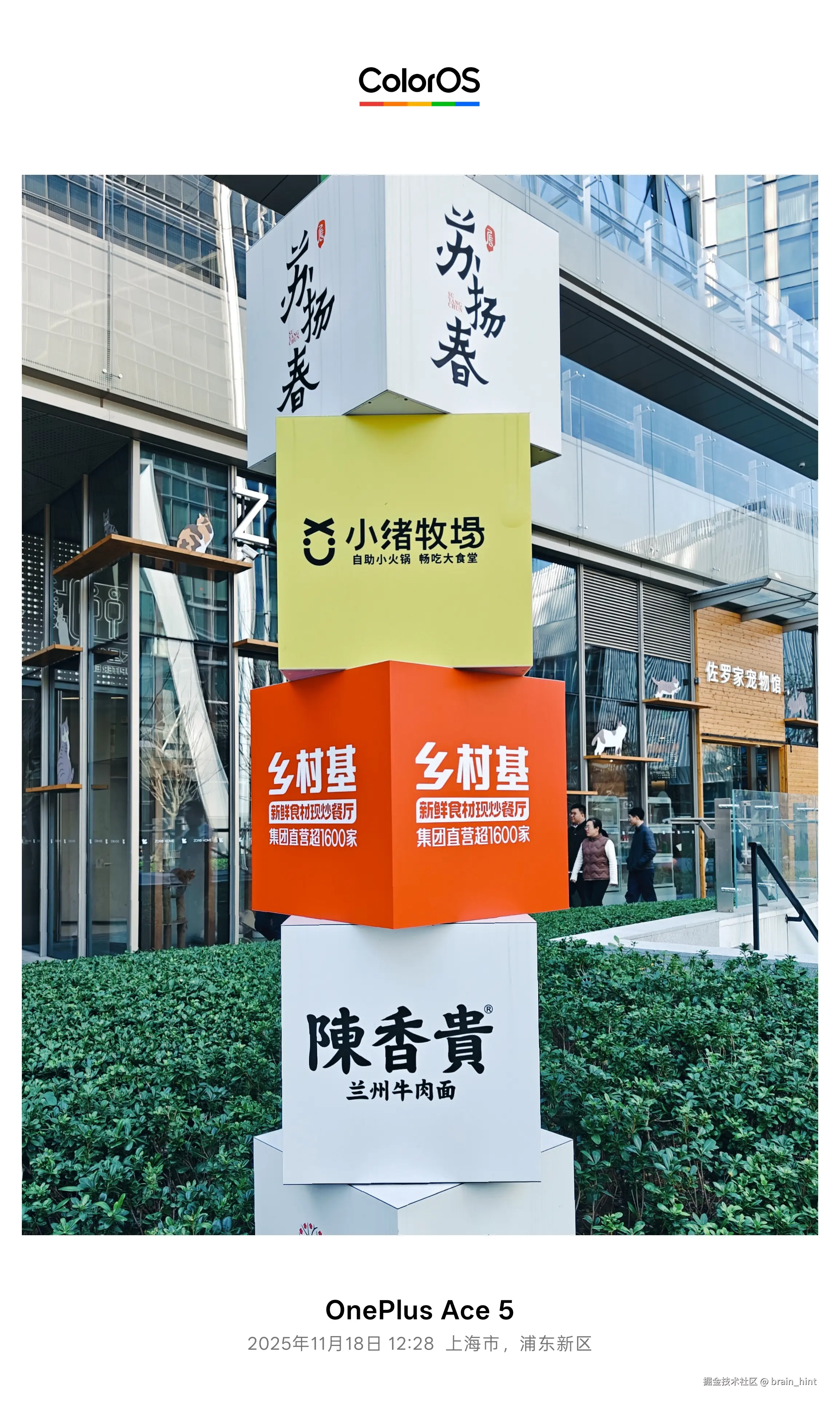 brain_hint于2025-11-18 13:36发布的图片