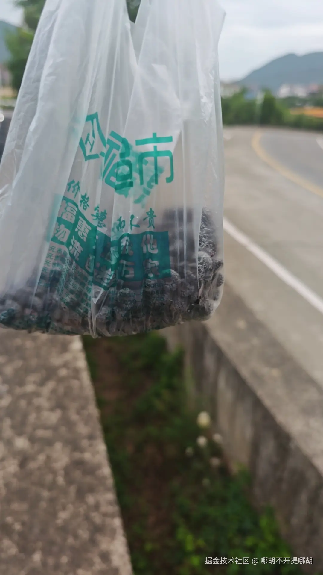 哪胡不开提哪胡于2025-06-03 10:28发布的图片