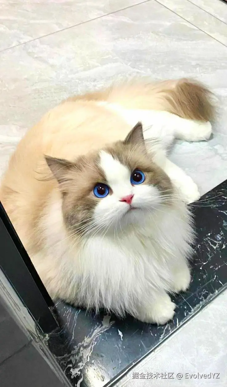 EvolvedYZ于2024-08-11 22:51发布的图片