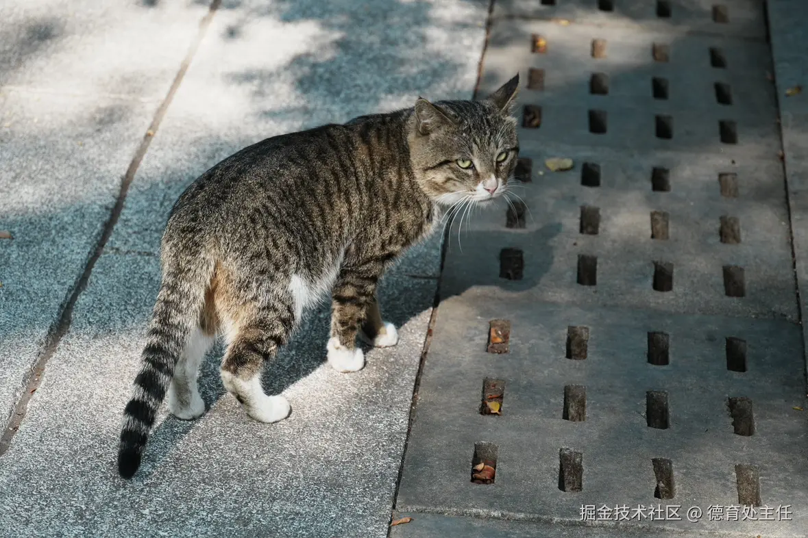 德育处主任于2025-02-05 13:35发布的图片