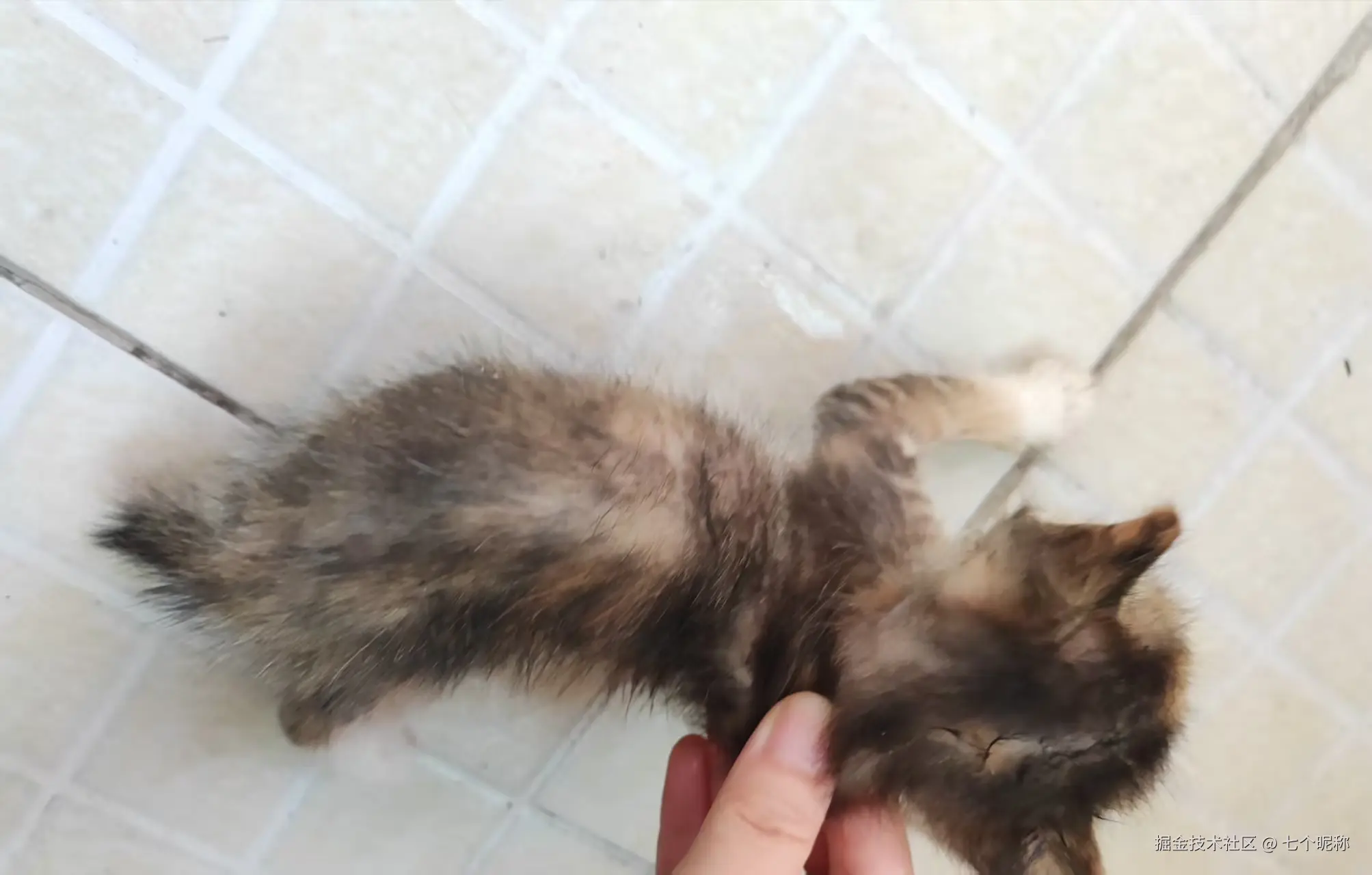 七个昵称于2025-07-07 09:08发布的图片