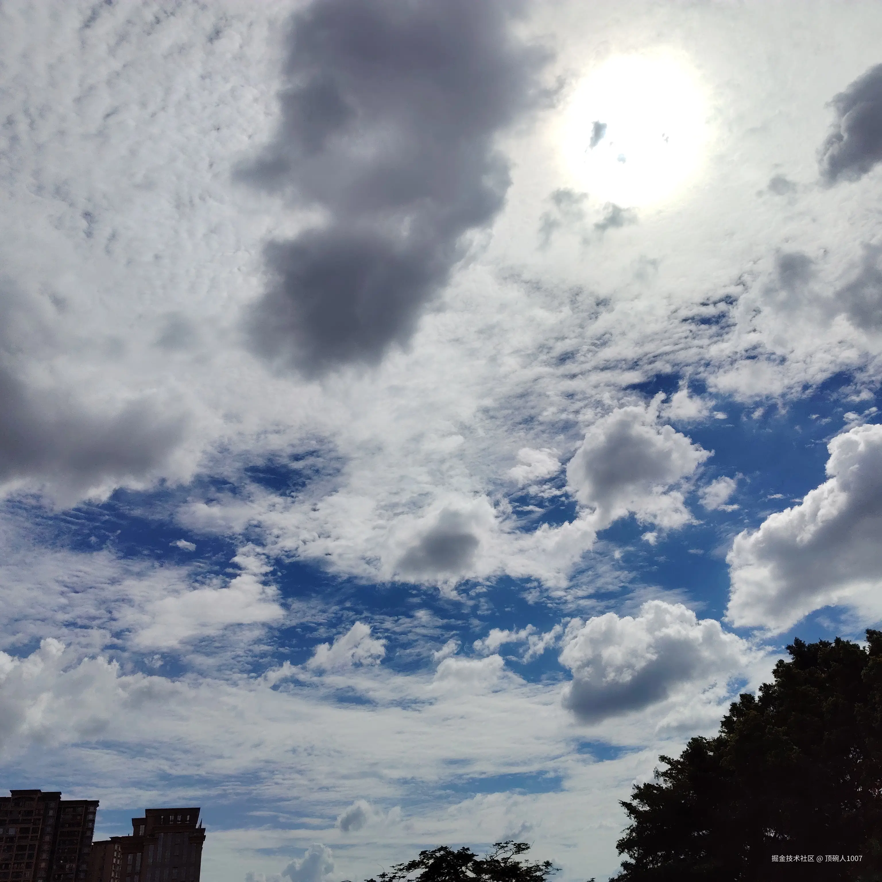 顶碗人1007于2026-08-01 18:03发布的图片