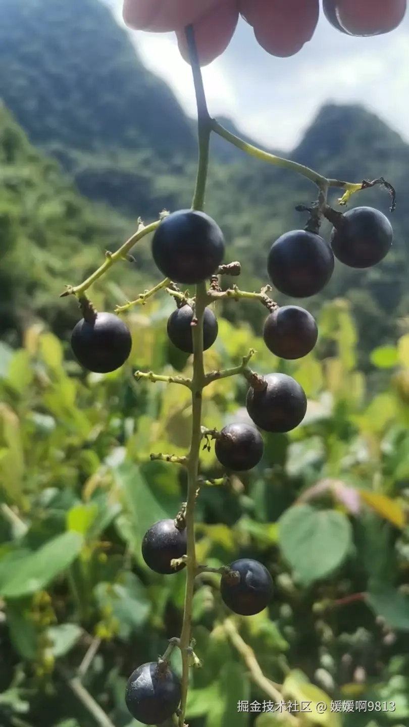 媛媛啊9813于2025-09-15 11:26发布的图片