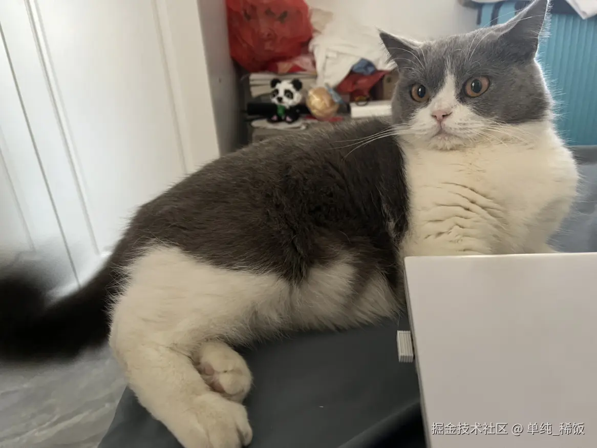 单纯_稀饭于2024-11-28 10:20发布的图片