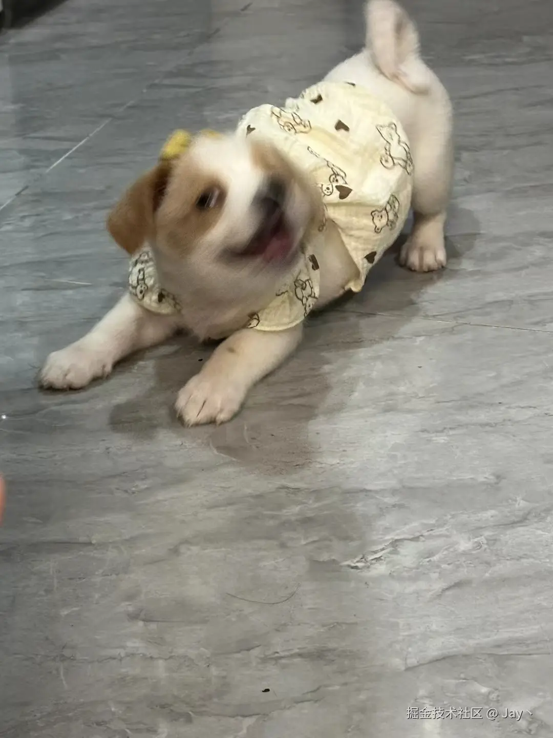 Jay丶于2024-10-14 10:01发布的图片