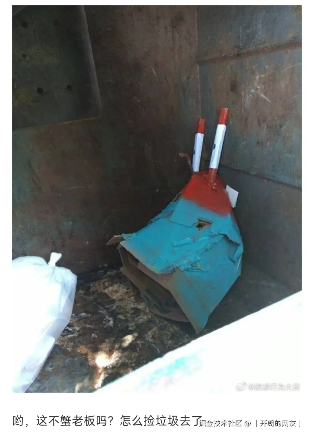 丨开朗的网友丨于2025-05-15 08:53发布的图片