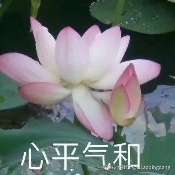 x1aodingdang于2024-09-12 11:51发布的图片