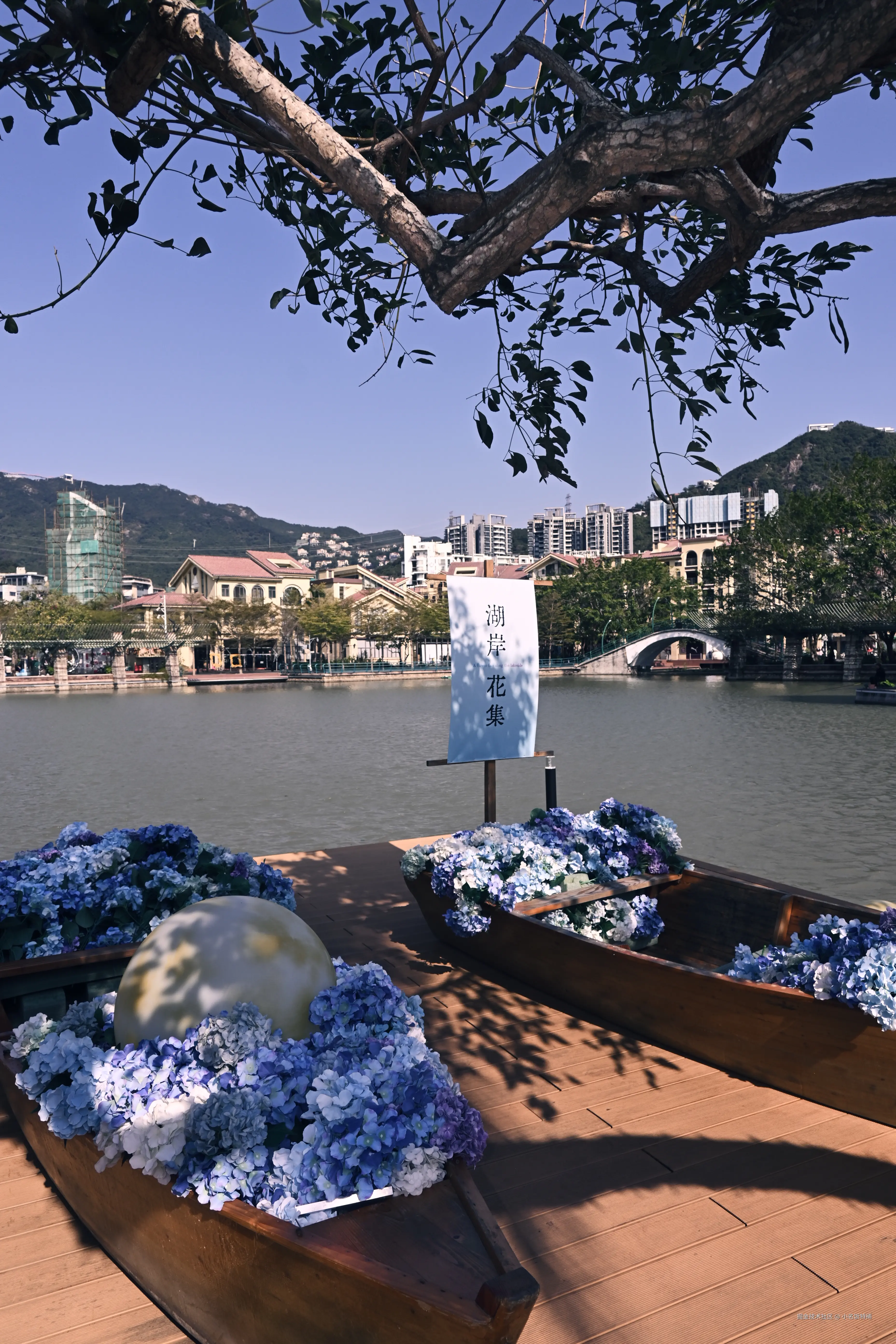 小名饭特稀于2026-01-12 09:10发布的图片