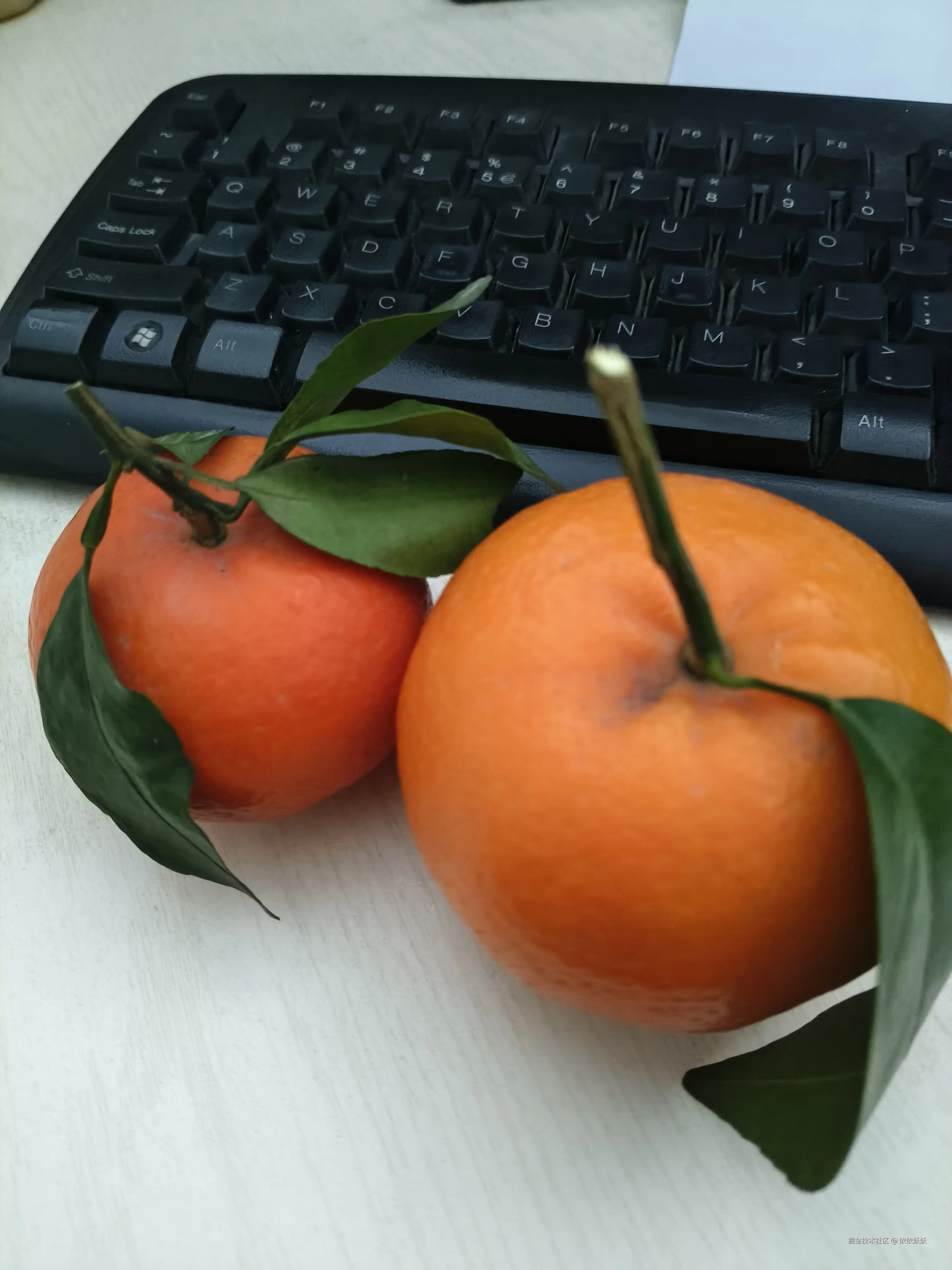 依依妖妖于2025-03-12 14:19发布的图片