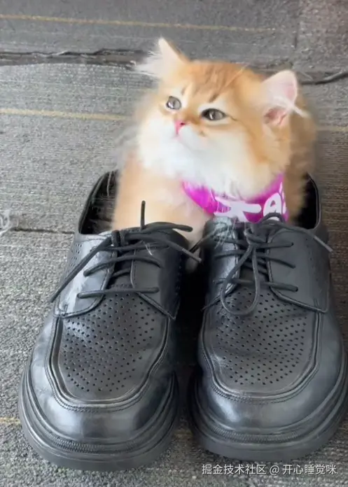 开心睡觉咪于2025-08-14 15:13发布的图片