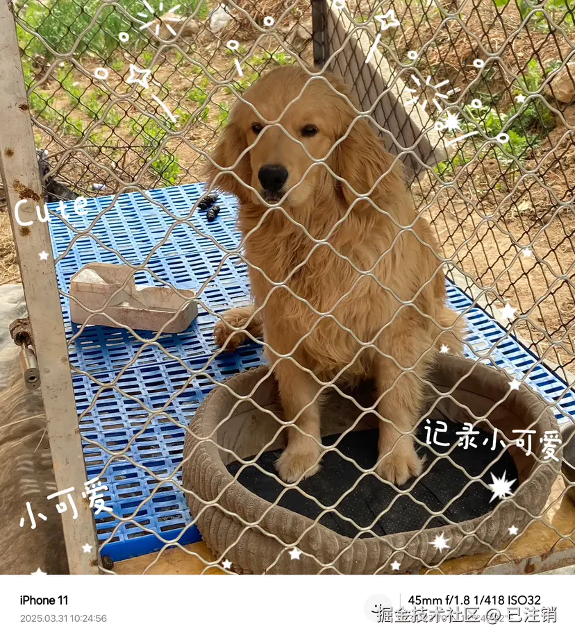 已注销于2025-03-31 10:28发布的图片