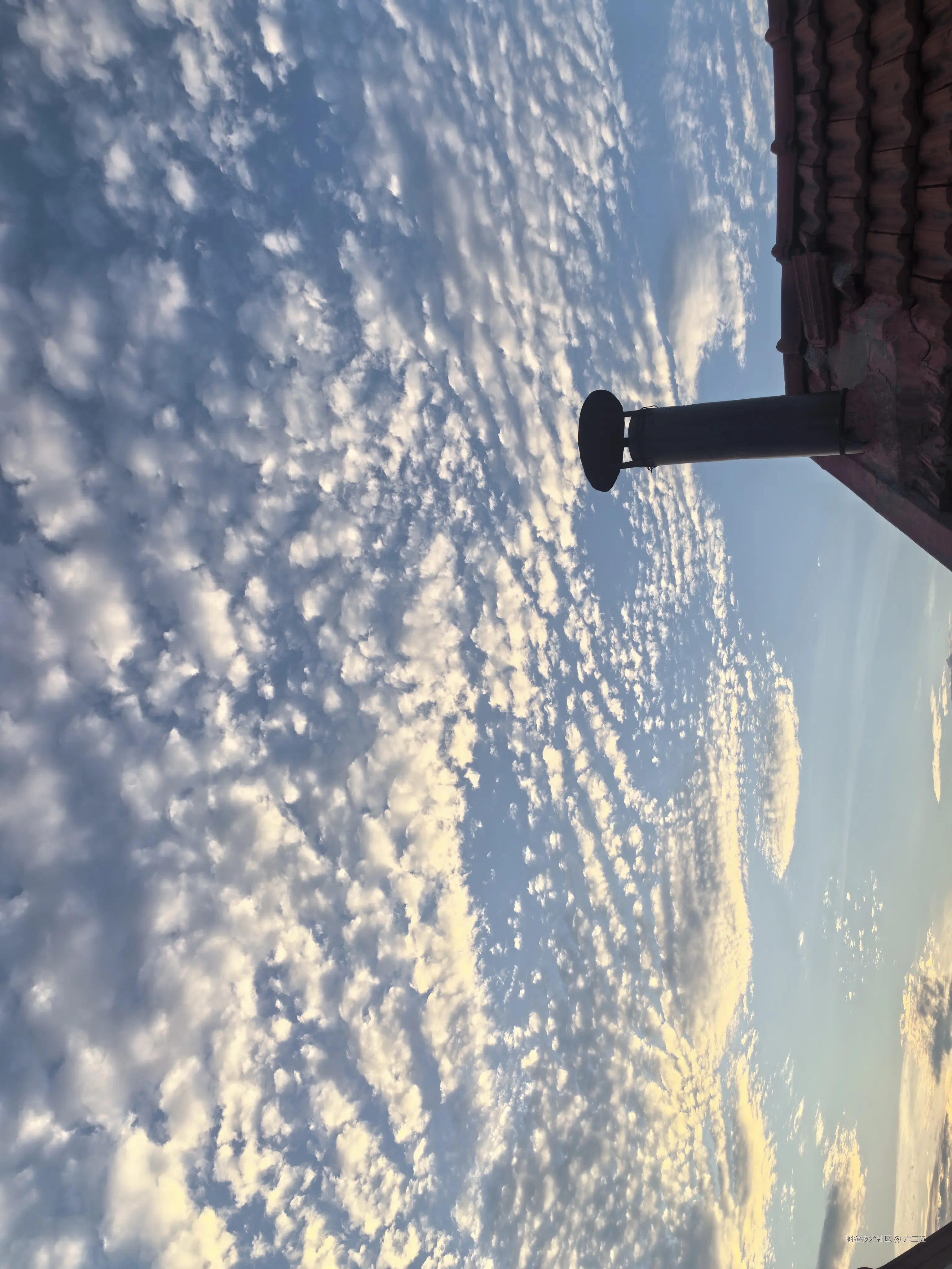 六三五于2024-07-28 18:58发布的图片