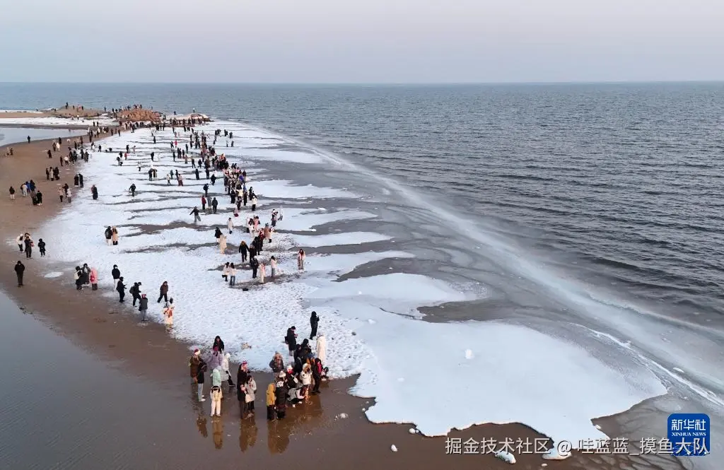 哇蓝蓝_摸鱼大队于2026-02-03 10:12发布的图片