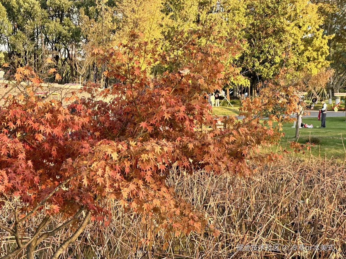 冷萃or冰美式_于2024-12-02 13:09发布的图片