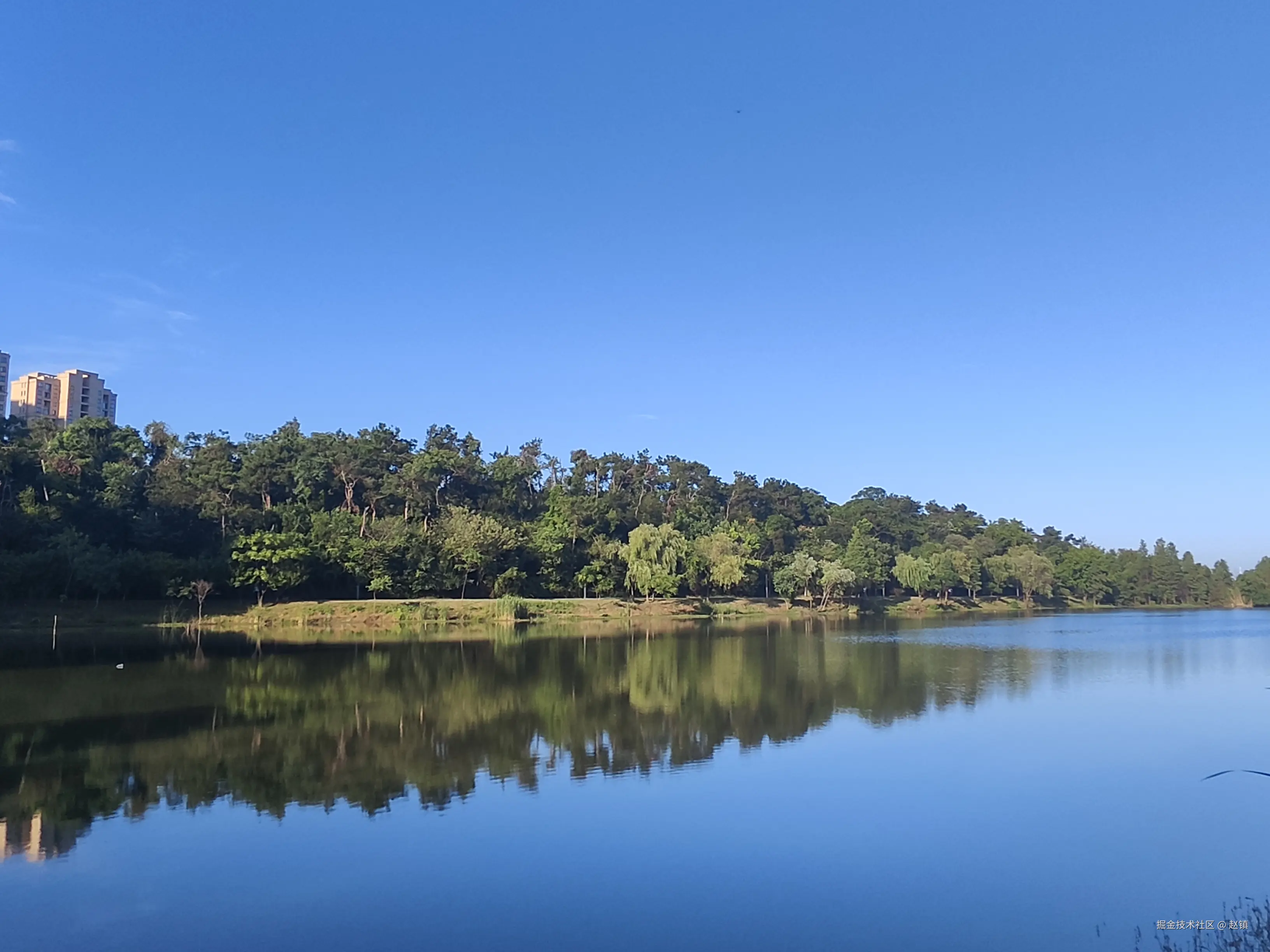 赵镇于2024-07-30 05:31发布的图片