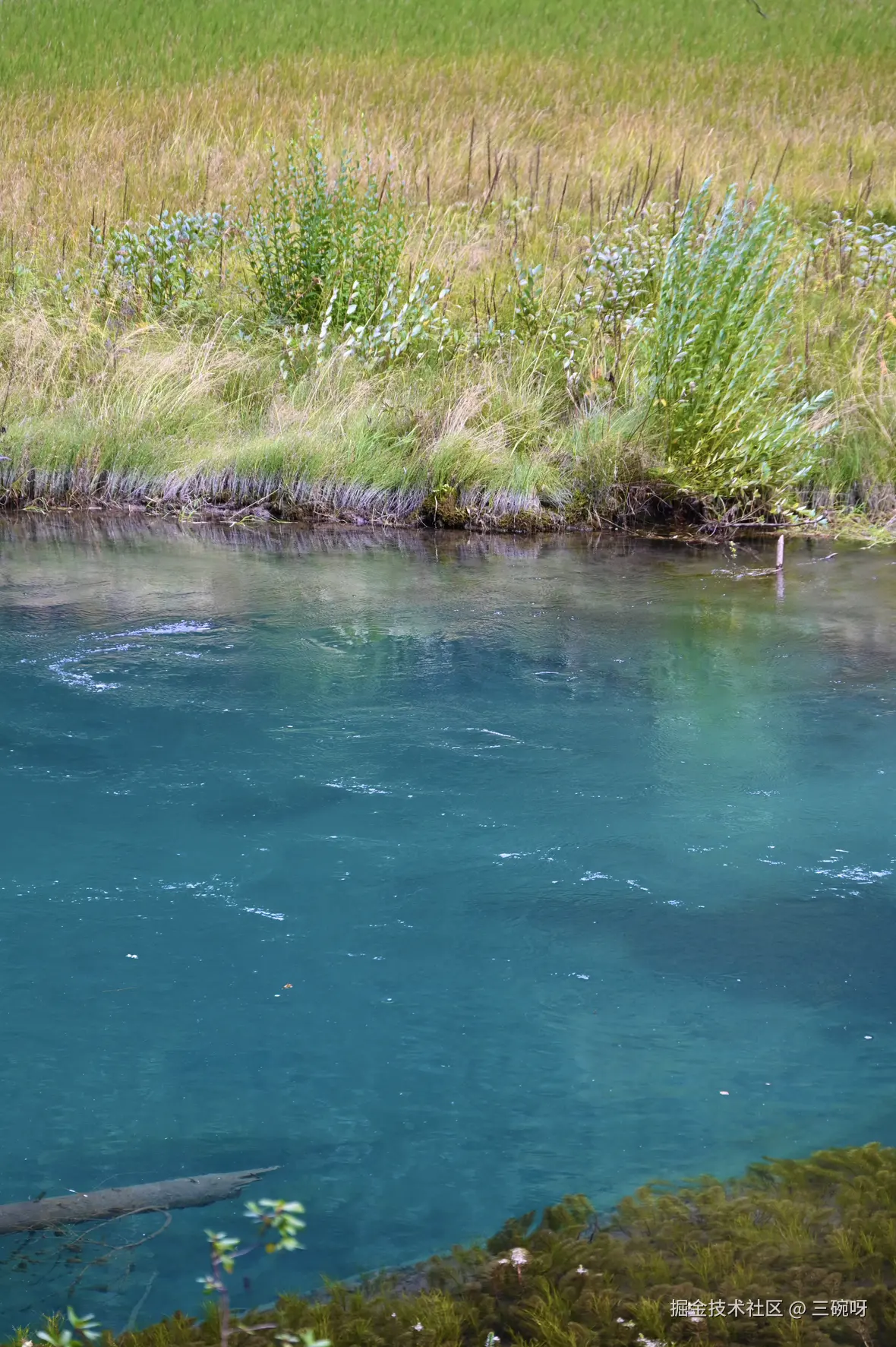 三碗呀于2025-11-19 08:23发布的图片