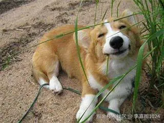 李嘉图1024于2025-07-03 09:54发布的图片