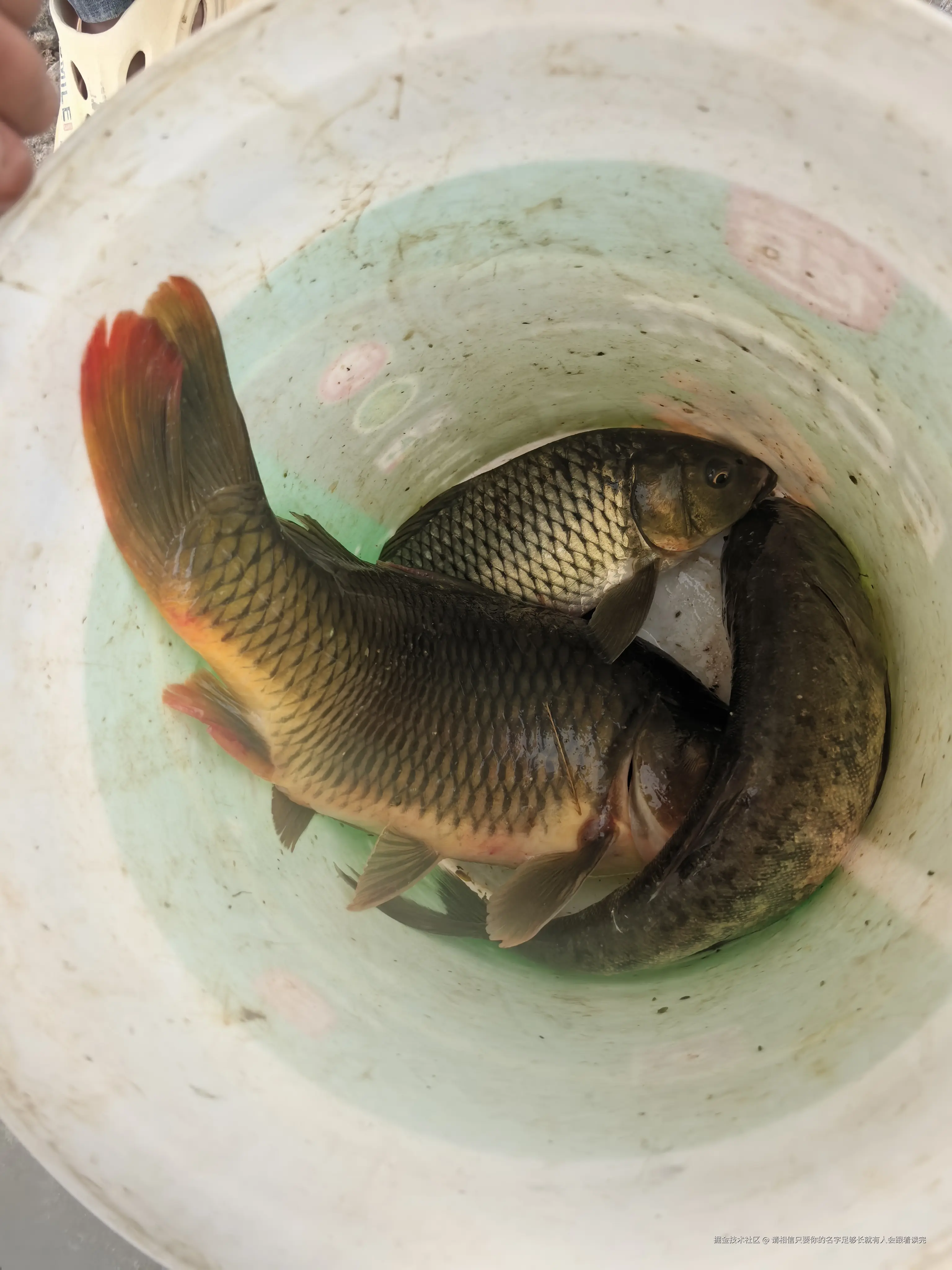 请相信只要你的名字足够长就有人会跟着读完于2025-07-14 08:28发布的图片