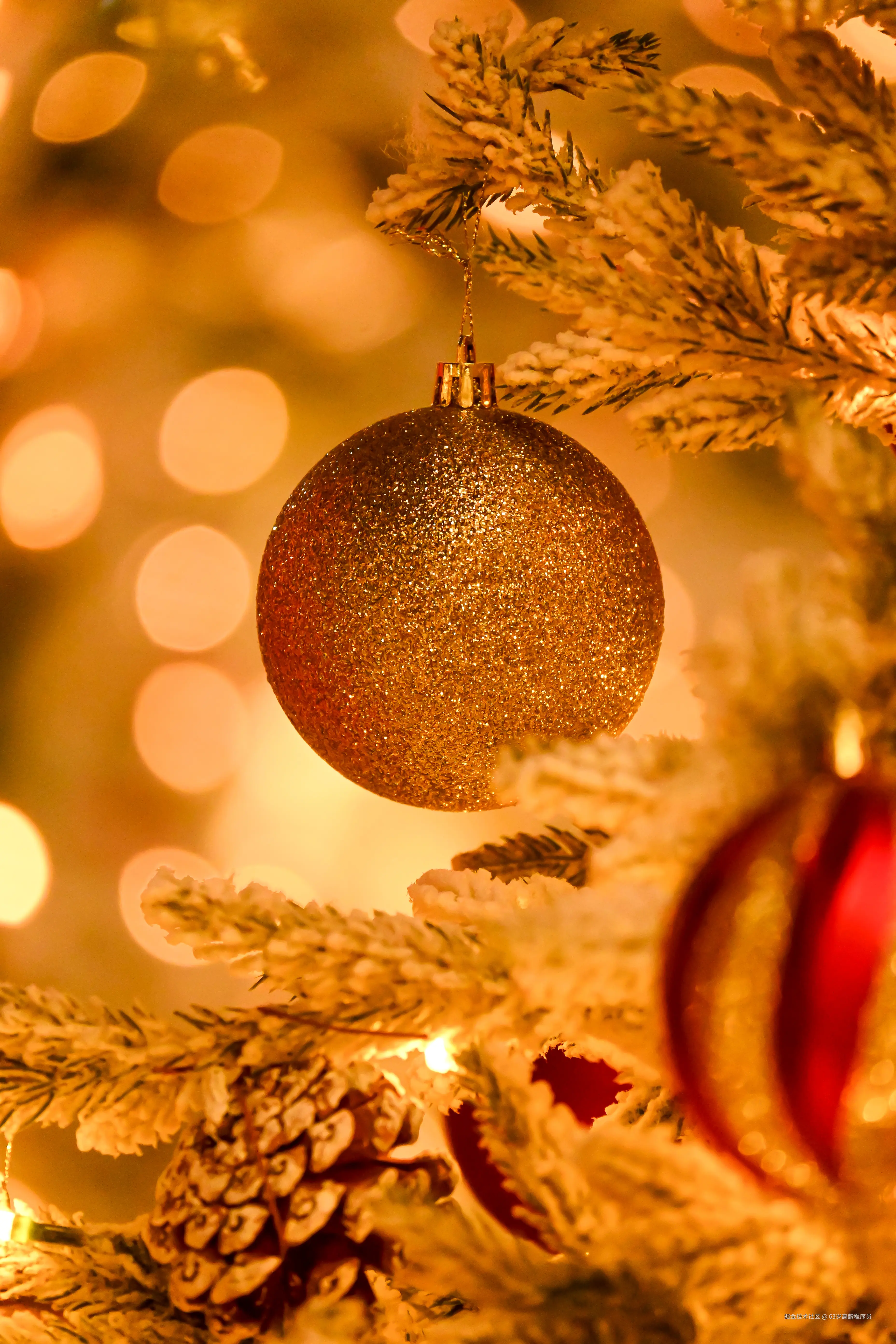 63岁高龄程序员于2025-12-19 09:26发布的图片