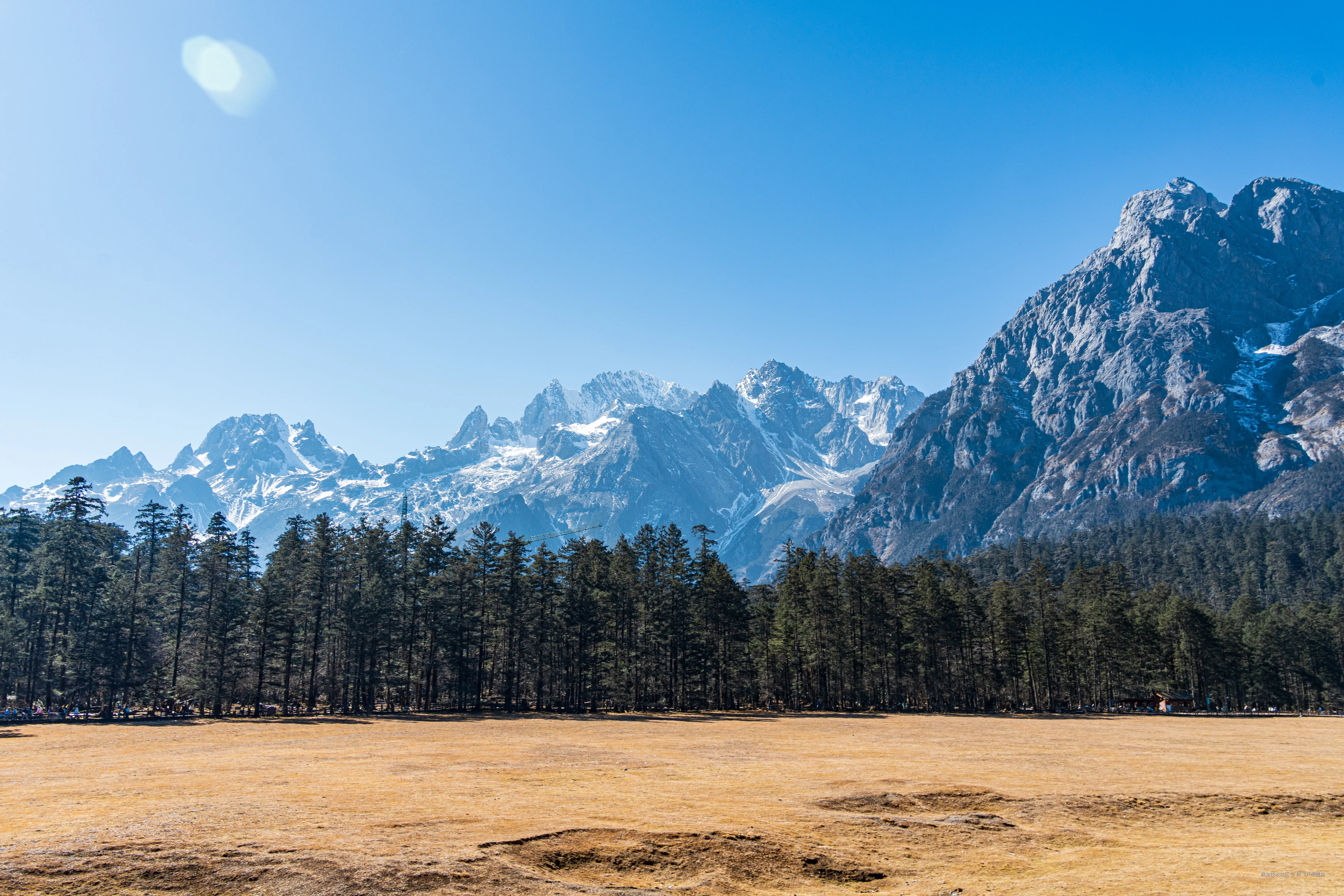 阿飞只想摸鱼于2026-02-11 14:53发布的图片