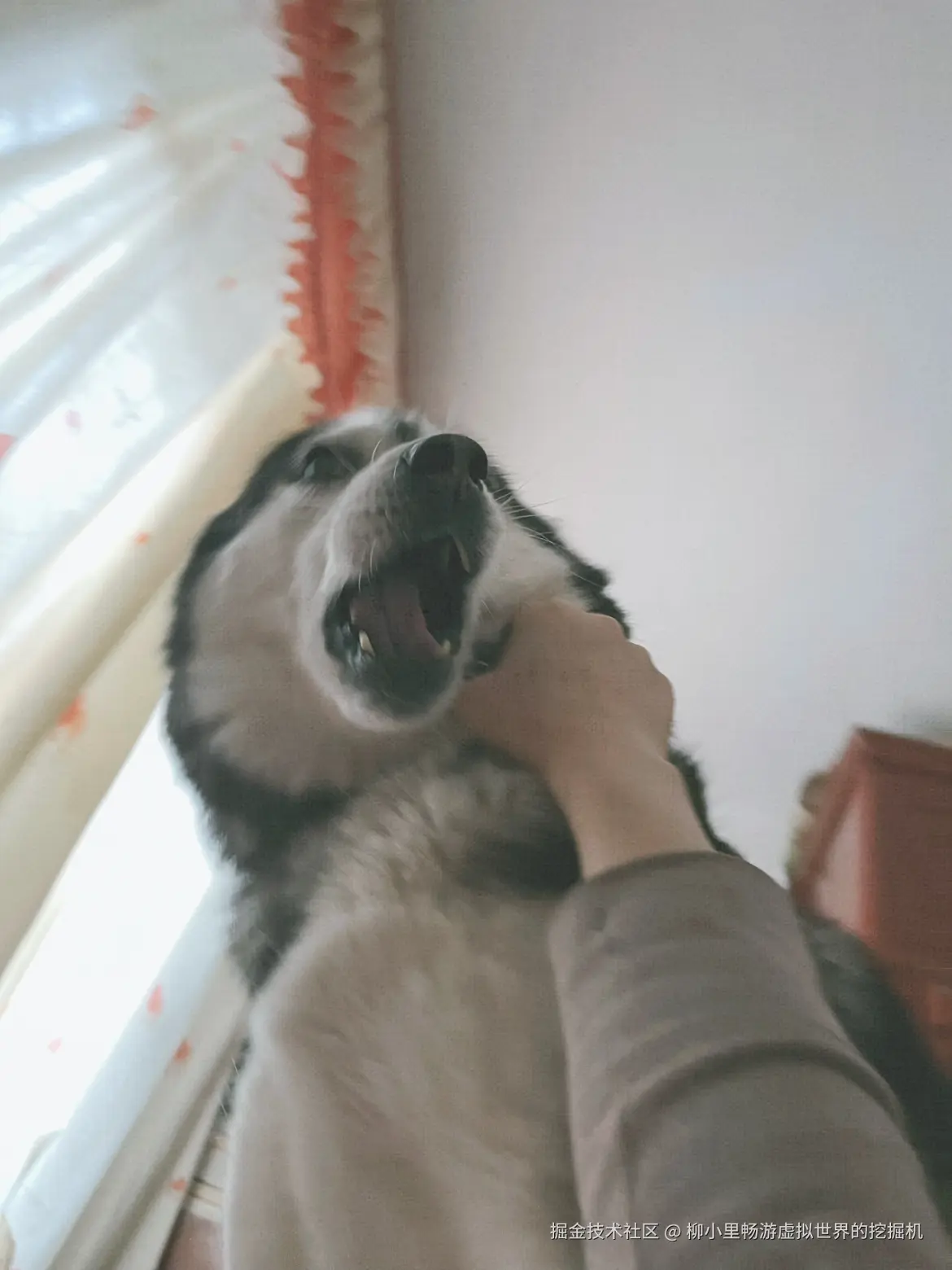 柳小里畅游虚拟世界的挖掘机于2025-11-27 02:58发布的图片