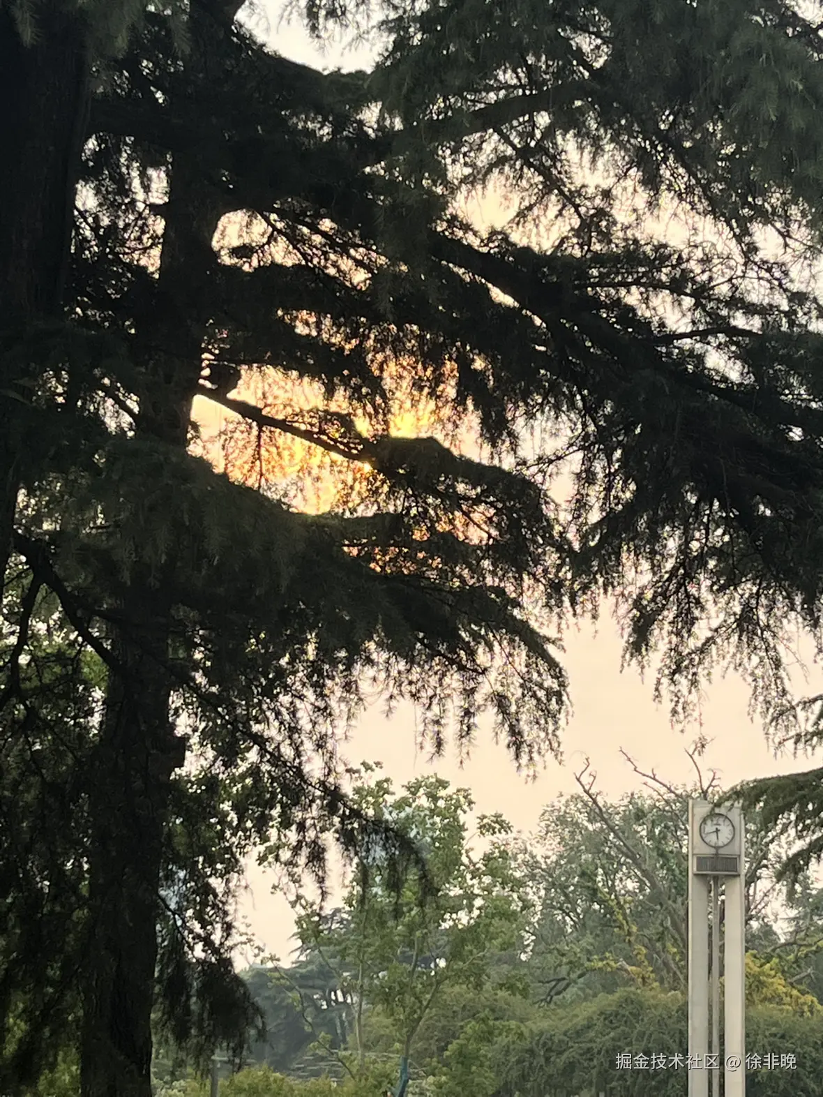 徐非晚于2025-05-27 11:15发布的图片