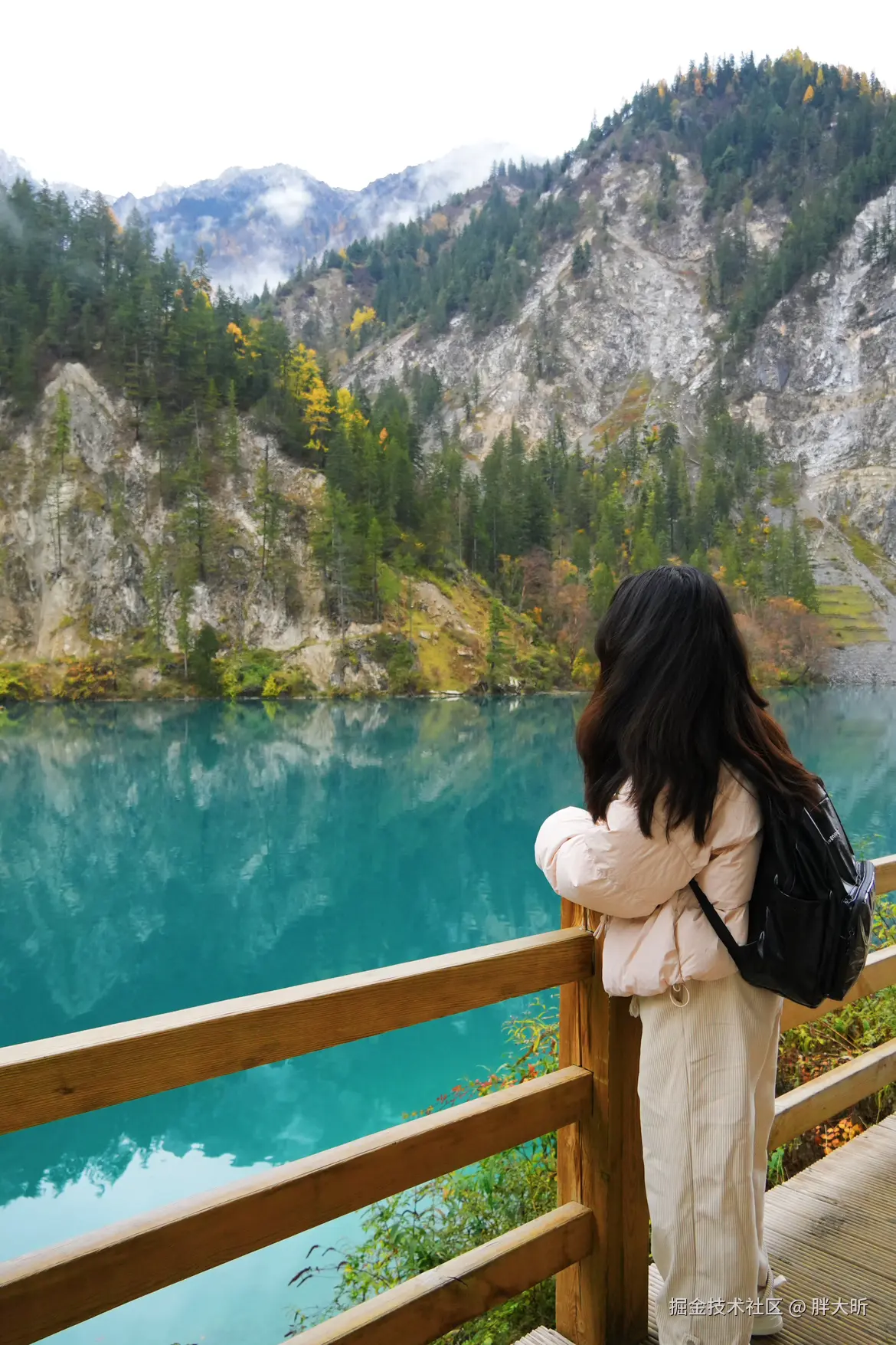 胖大昕于2024-11-05 14:53发布的图片