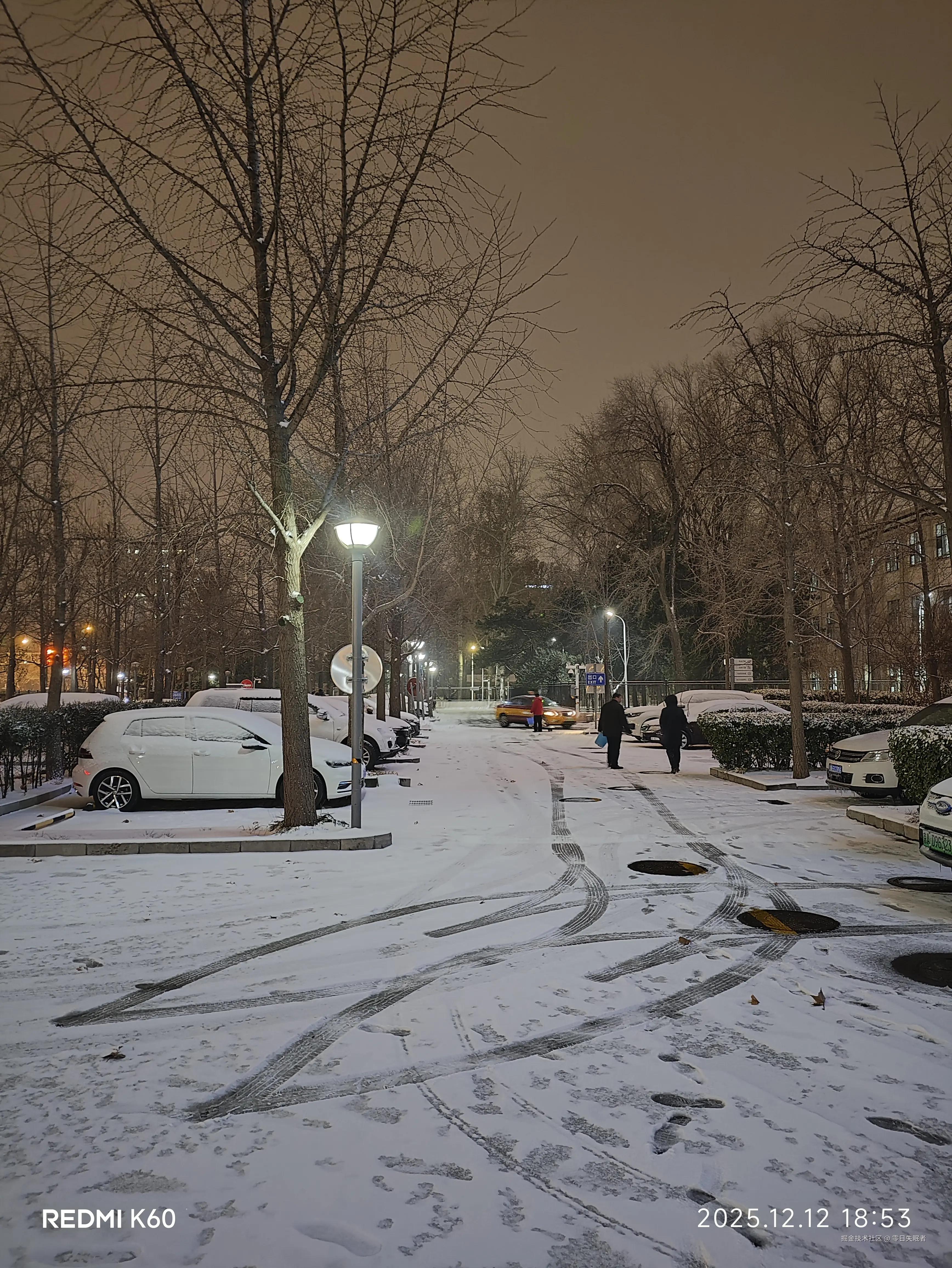 零日失眠者于2025-12-12 19:15发布的图片