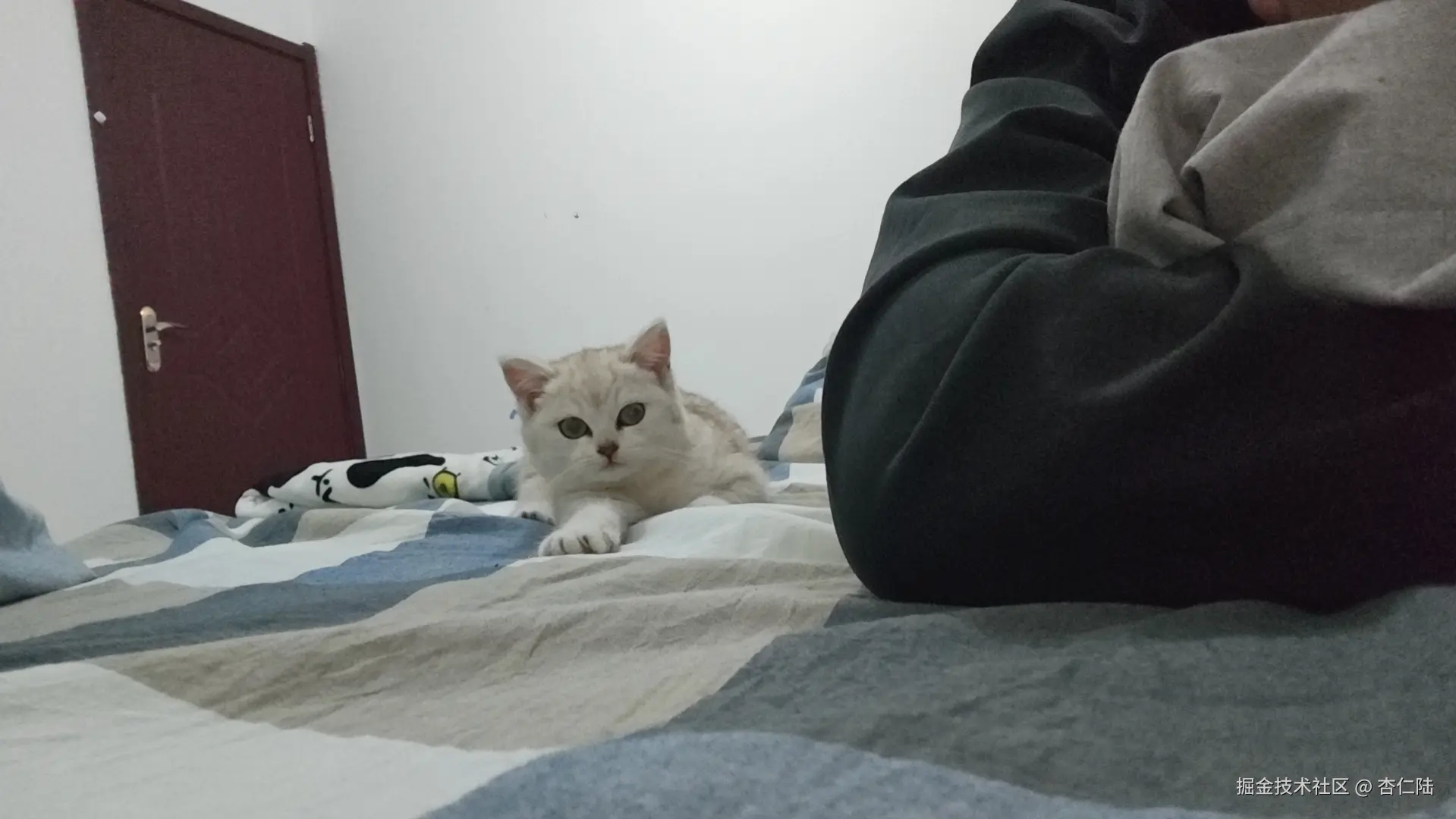 杏仁陆于2026-01-31 10:40发布的图片