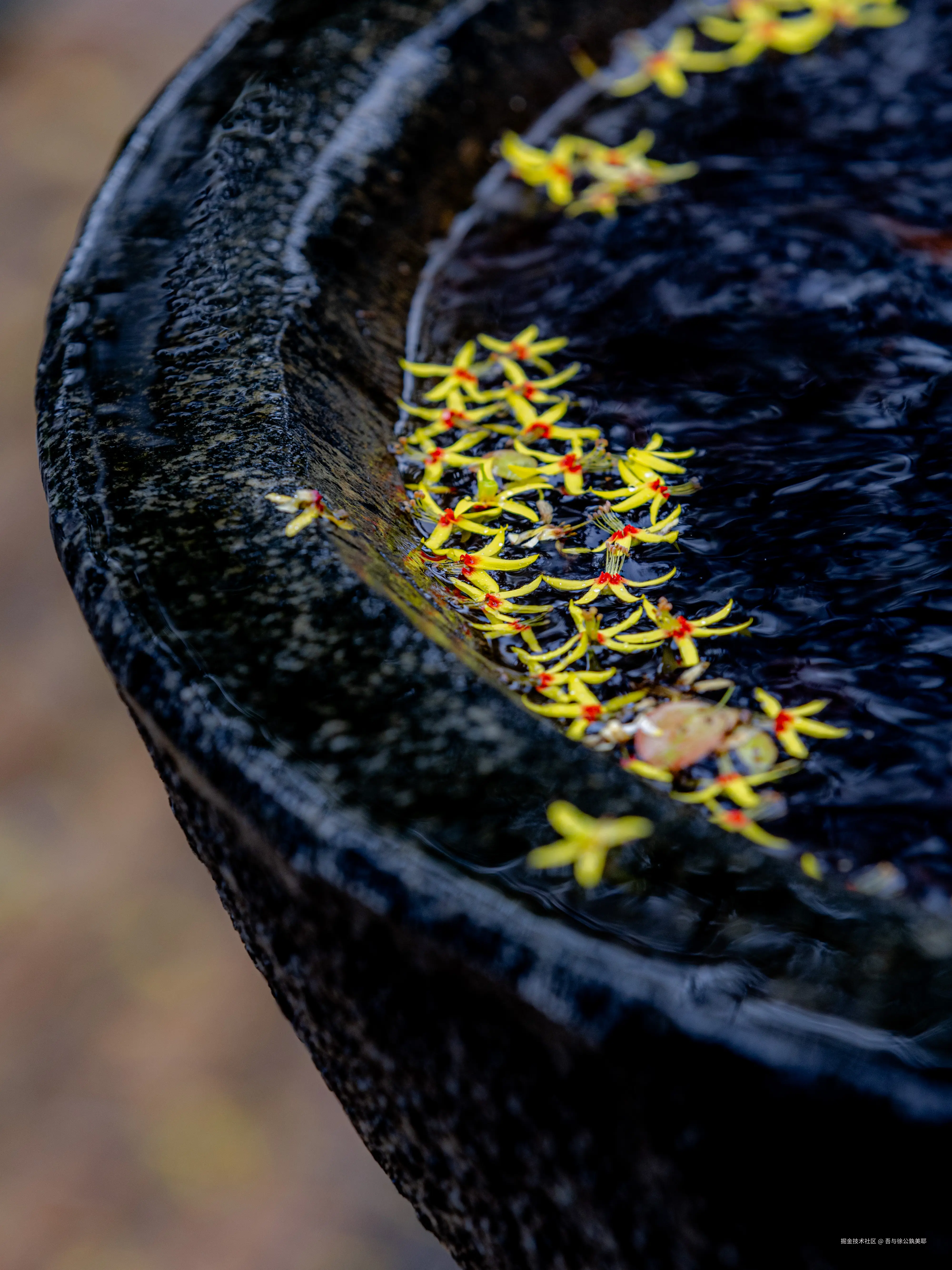 吾与徐公孰美耶于2024-09-20 02:12发布的图片