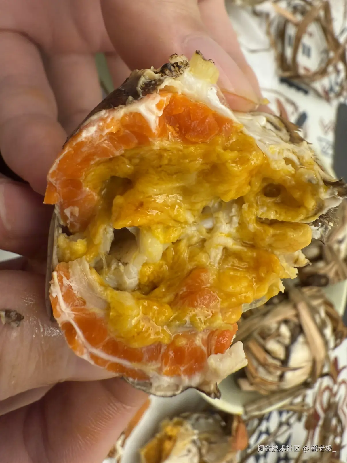 蟹老板_于2025-10-27 08:46发布的图片