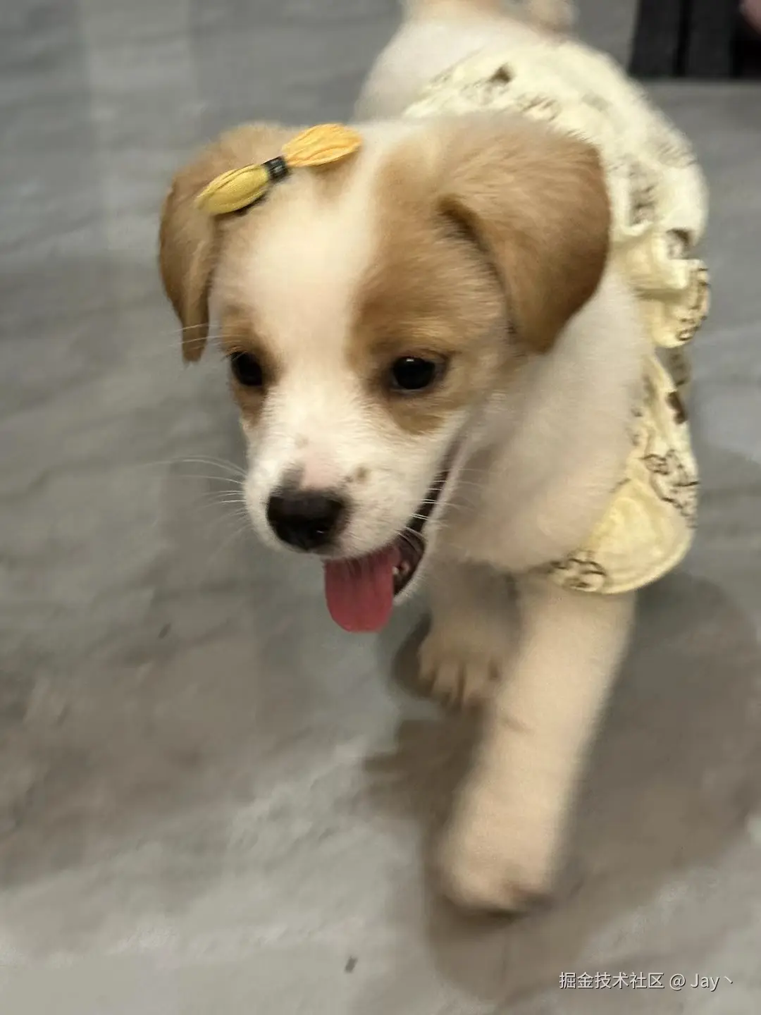 Jay丶于2024-10-14 10:01发布的图片