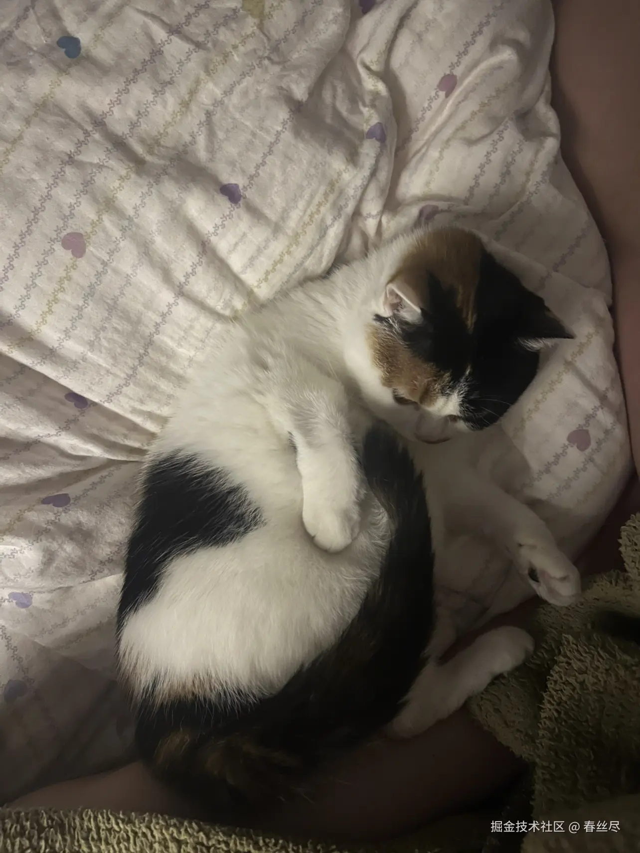 春丝尽于2026-03-26 17:07发布的图片