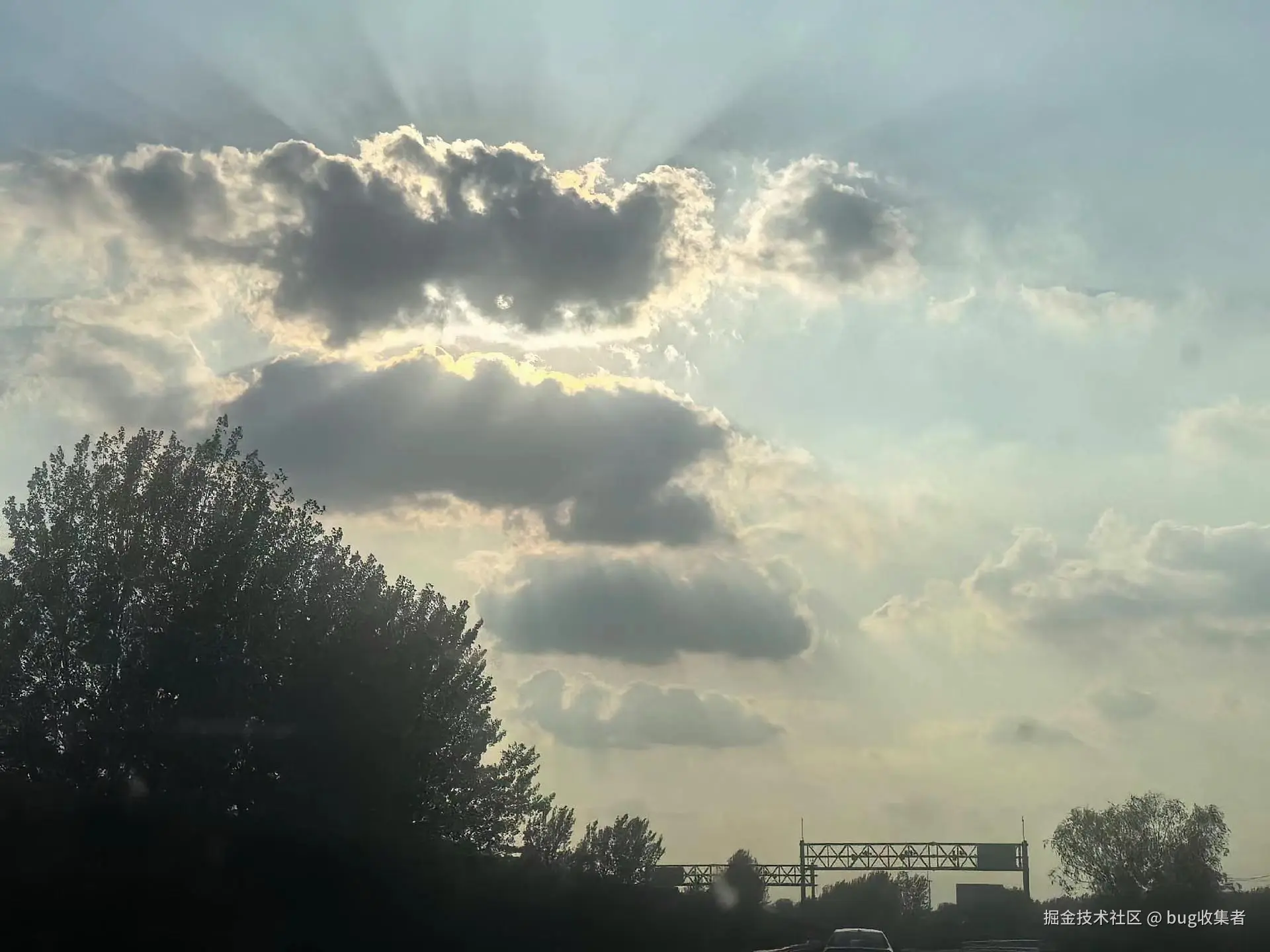 bug收集者于2025-06-30 13:20发布的图片