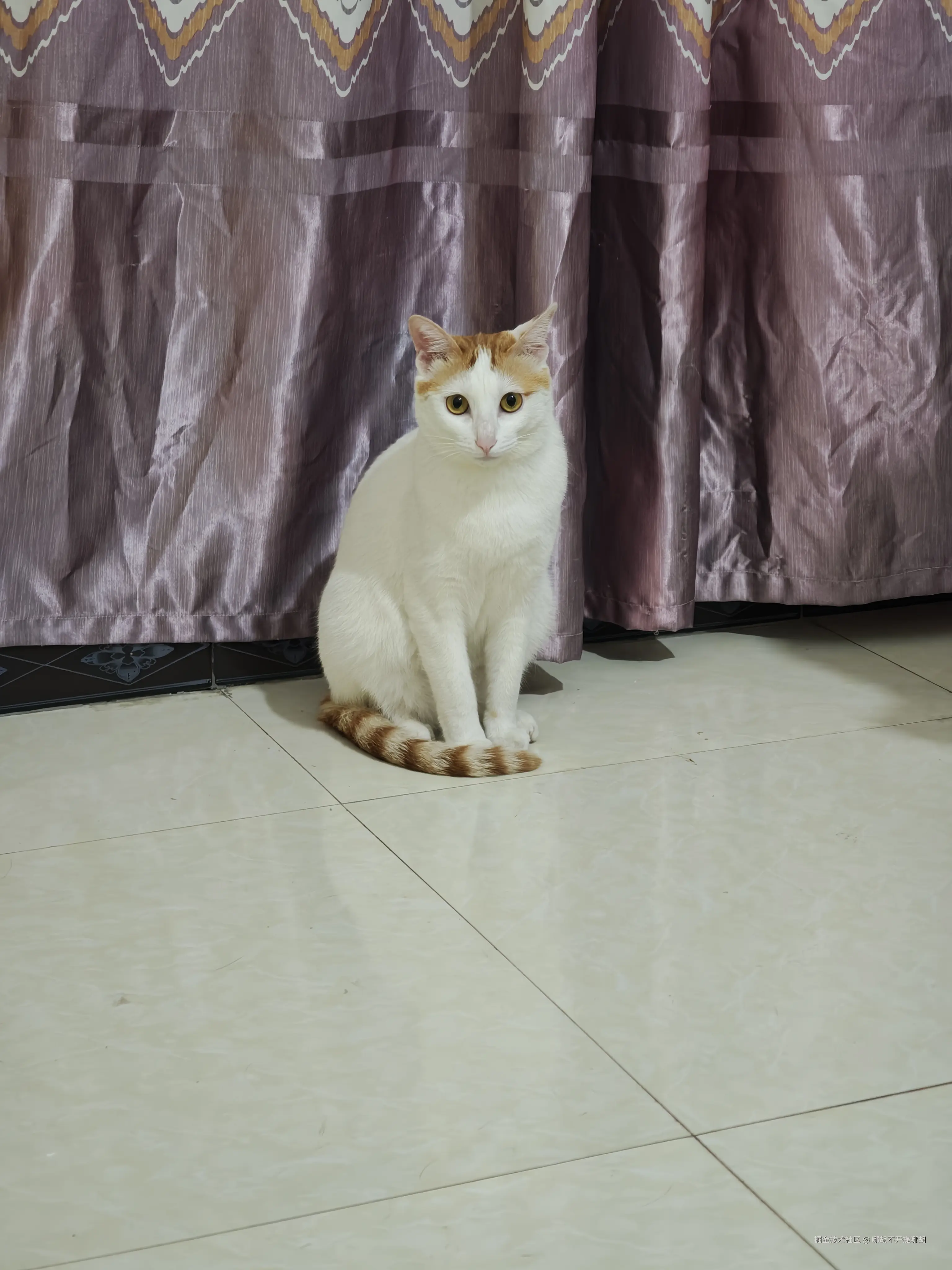 哪胡不开提哪胡于2025-04-28 15:33发布的图片