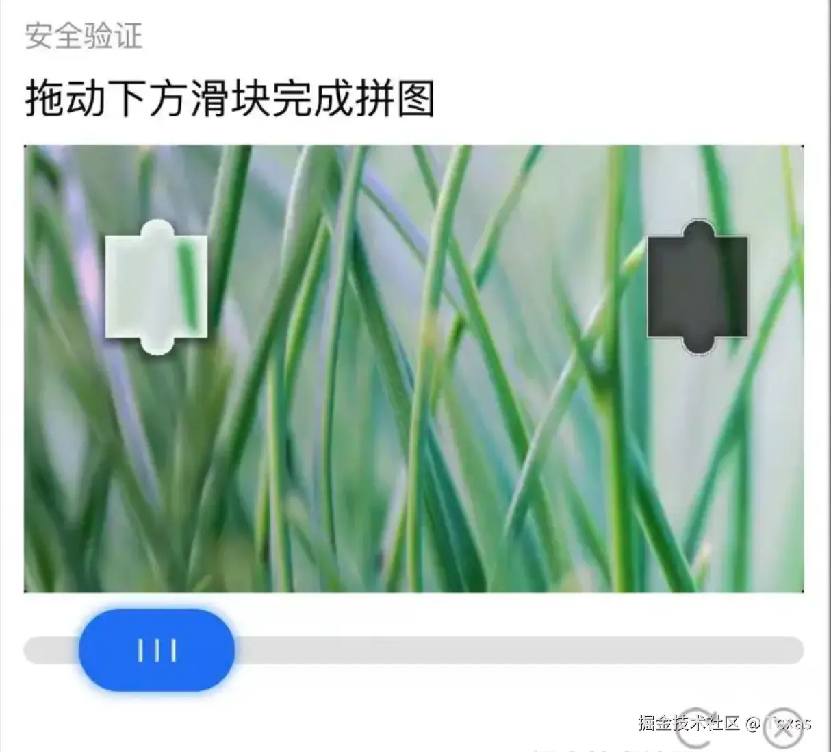 Texas于2024-11-04 14:03发布的图片