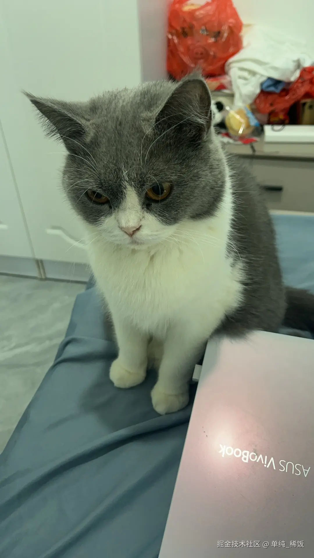 单纯_稀饭于2024-11-29 17:47发布的图片