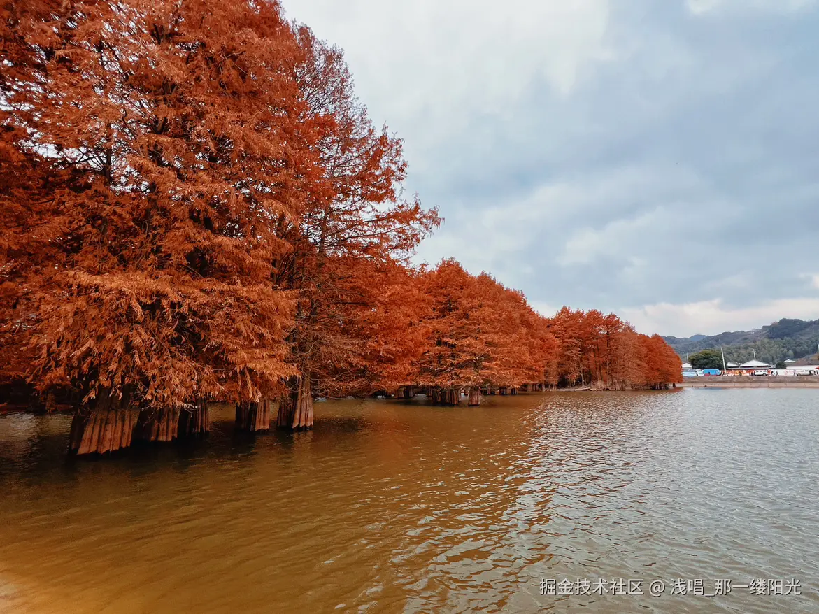 浅唱_那一缕阳光于2025-12-25 11:19发布的图片