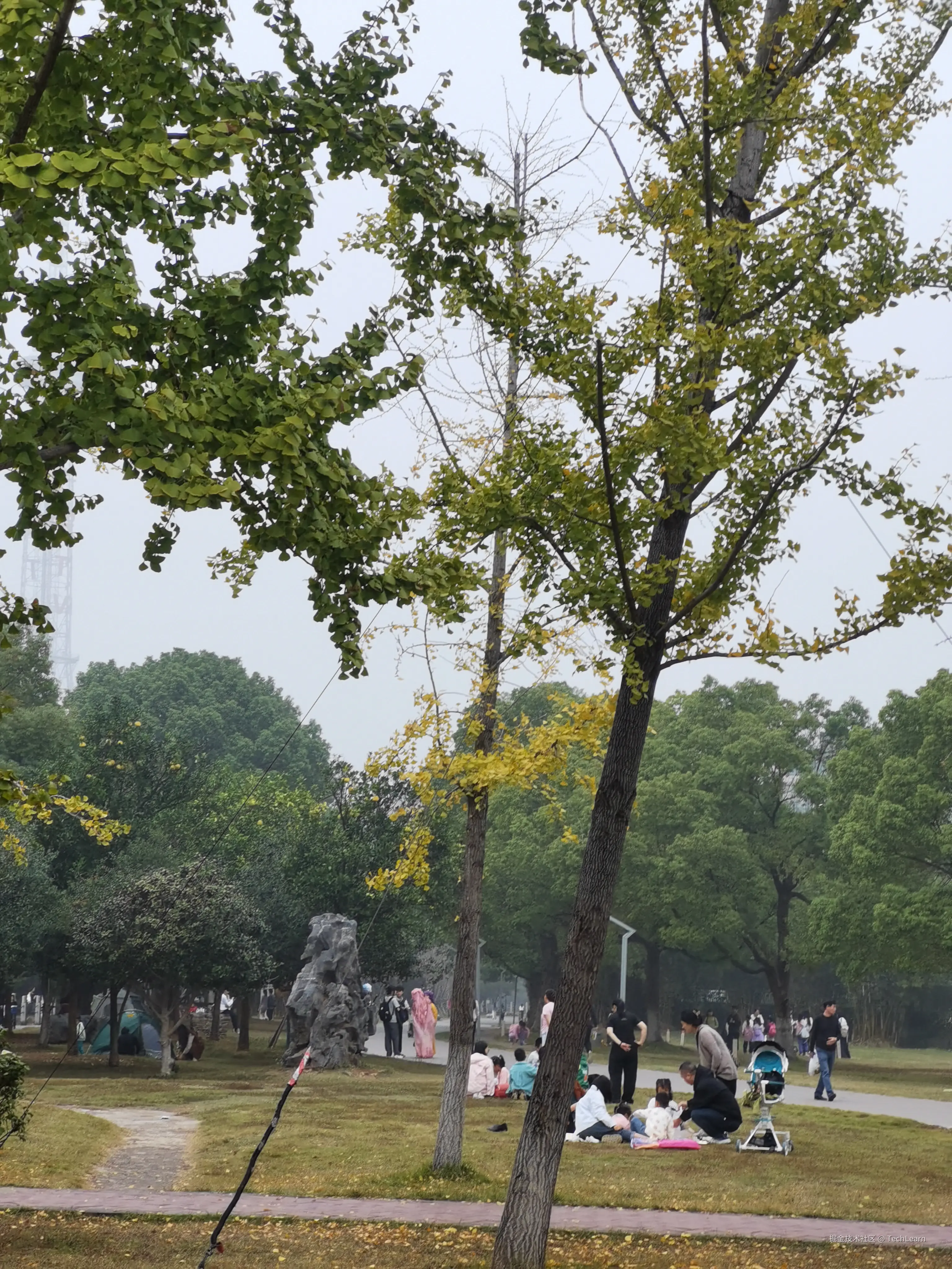 TechLearn于2024-11-16 14:47发布的图片