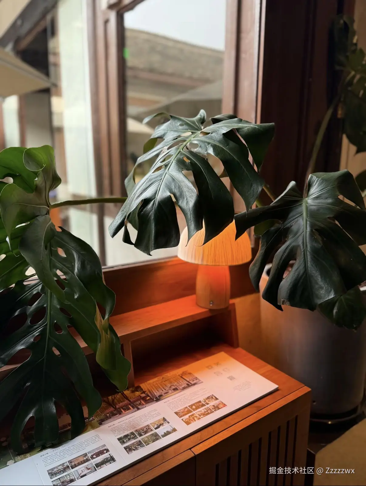 Zzzzzwx于2025-11-21 14:42发布的图片