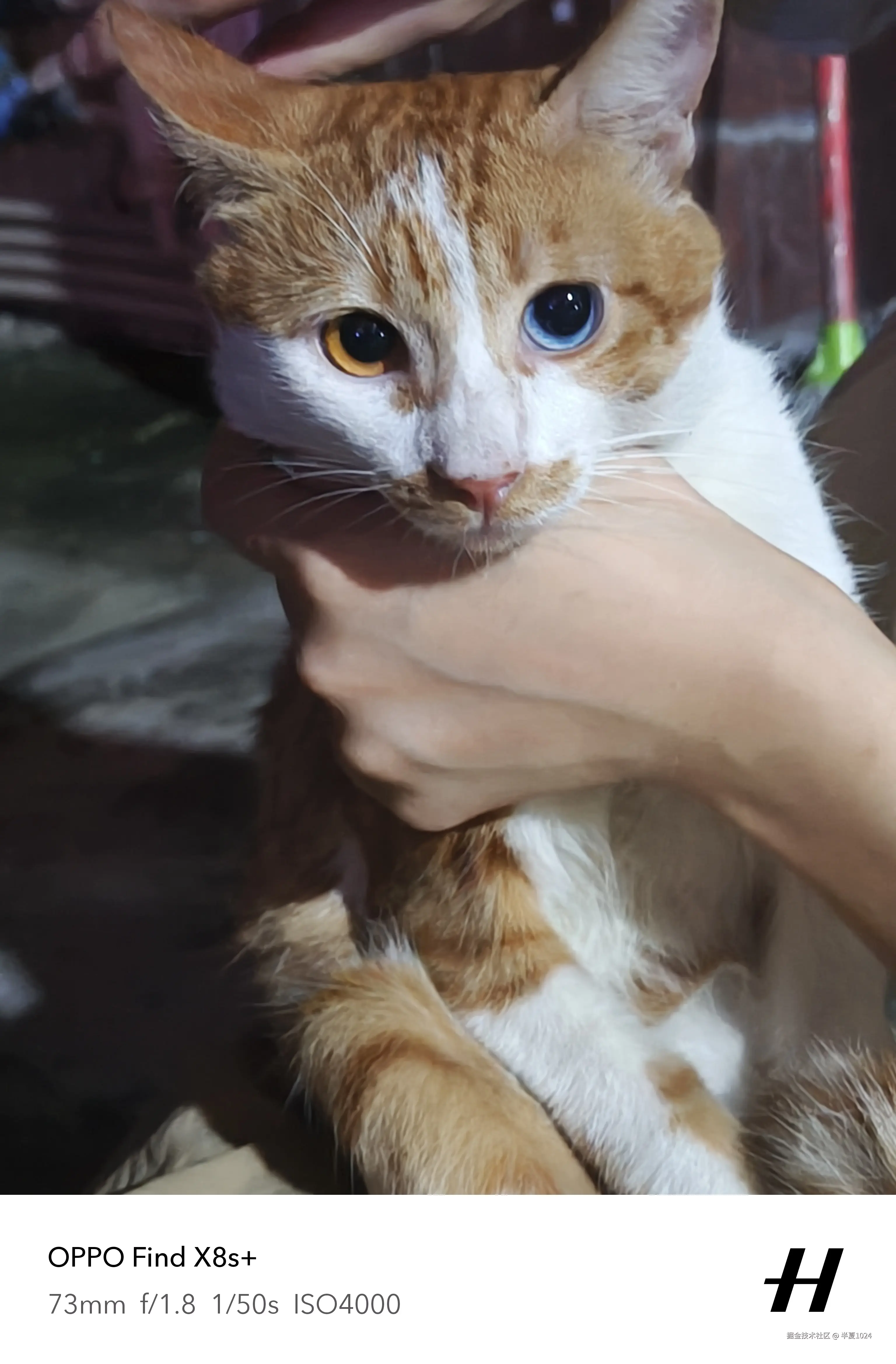 半夏1024于2025-07-07 14:25发布的图片