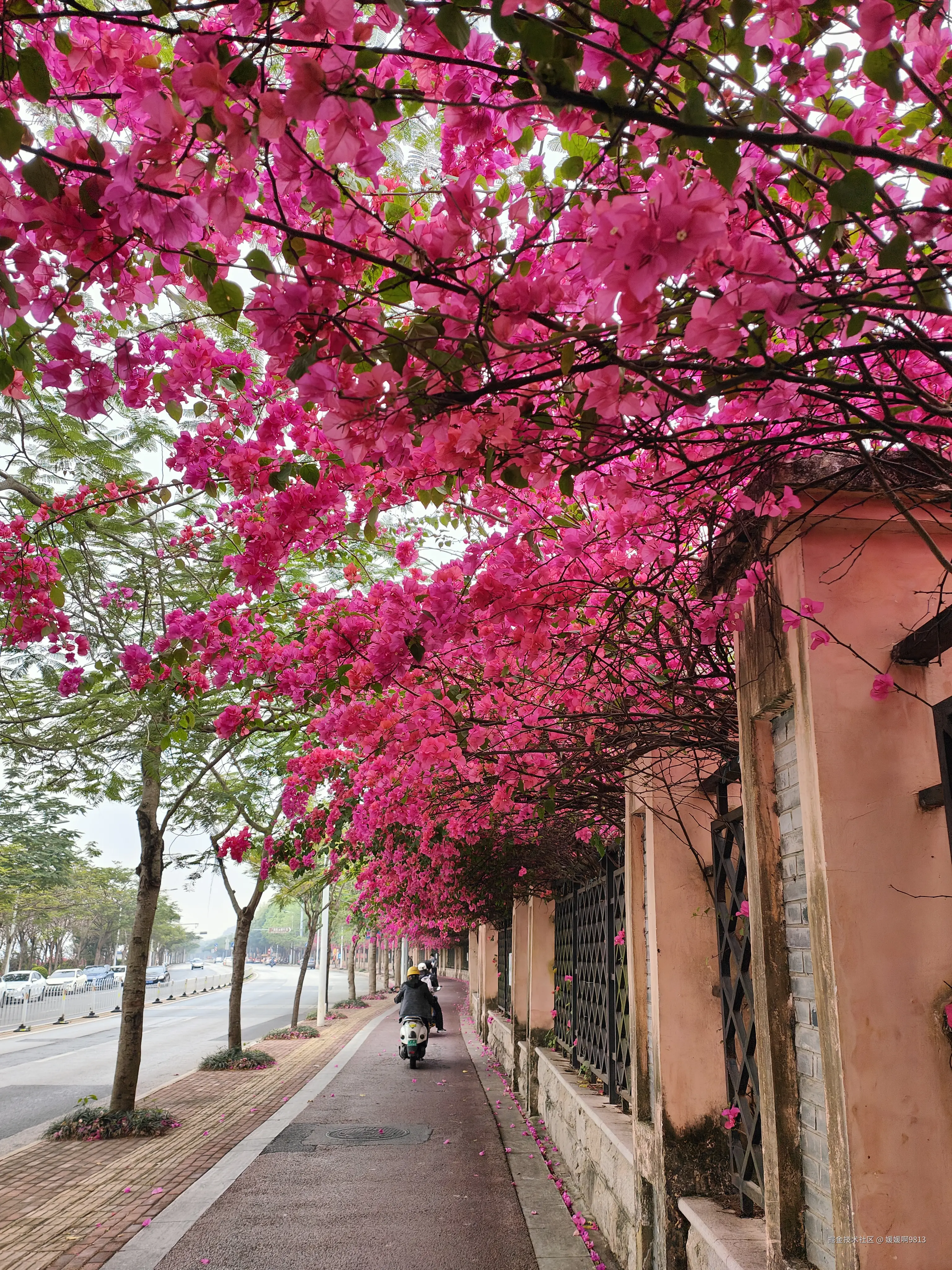 媛媛啊9813于2026-03-28 23:19发布的图片