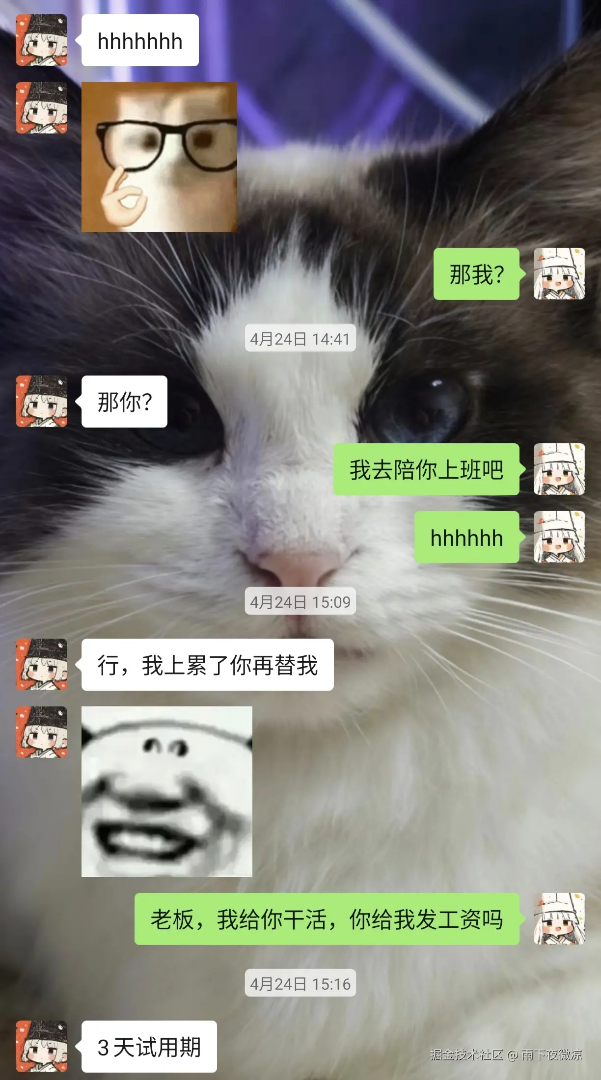 雨下夜微凉于2026-04-27 10:44发布的图片