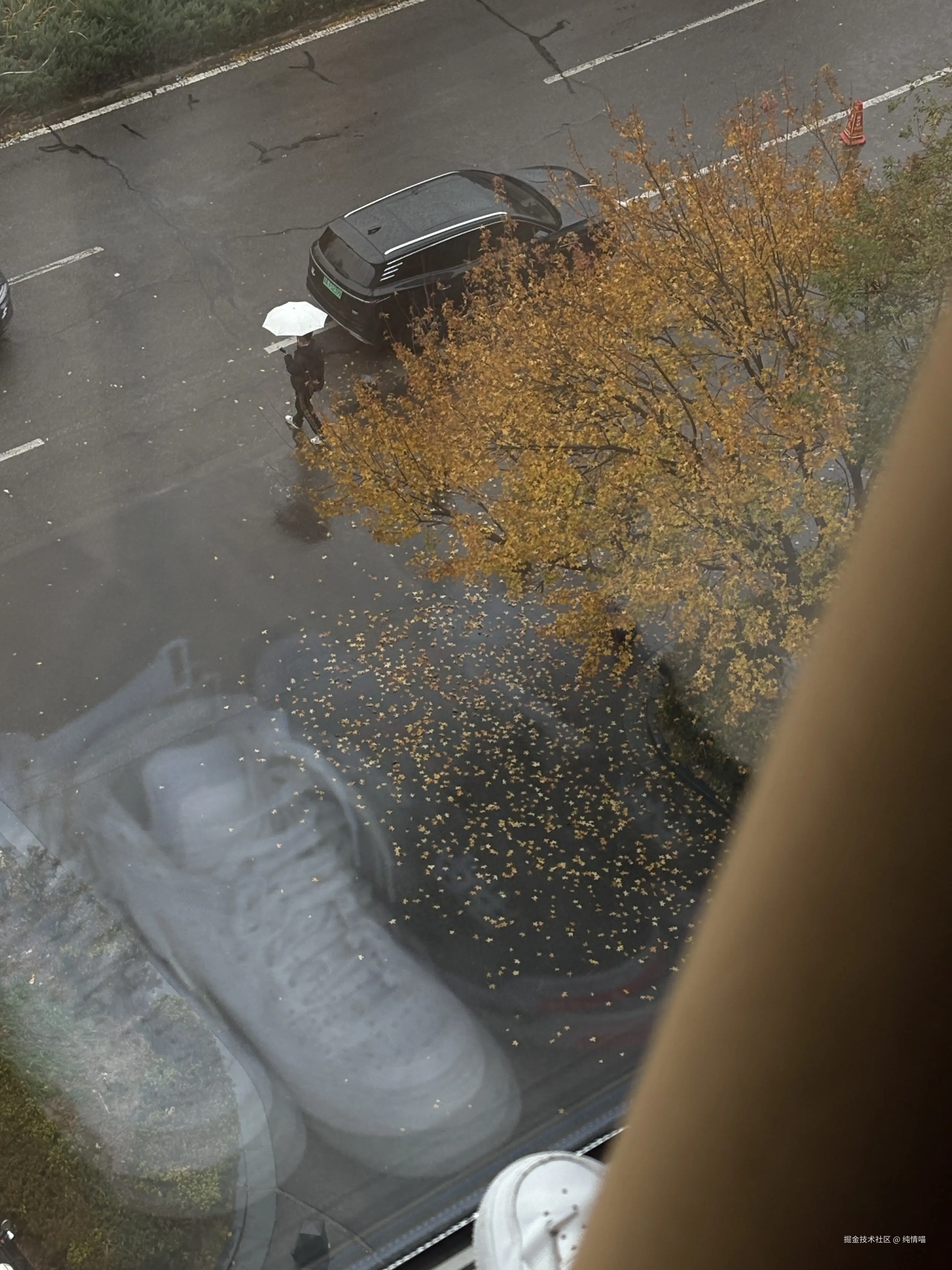 纯情喵于2025-11-07 13:51发布的图片