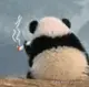 十寸雨丶于2025-11-06 16:21发布的图片