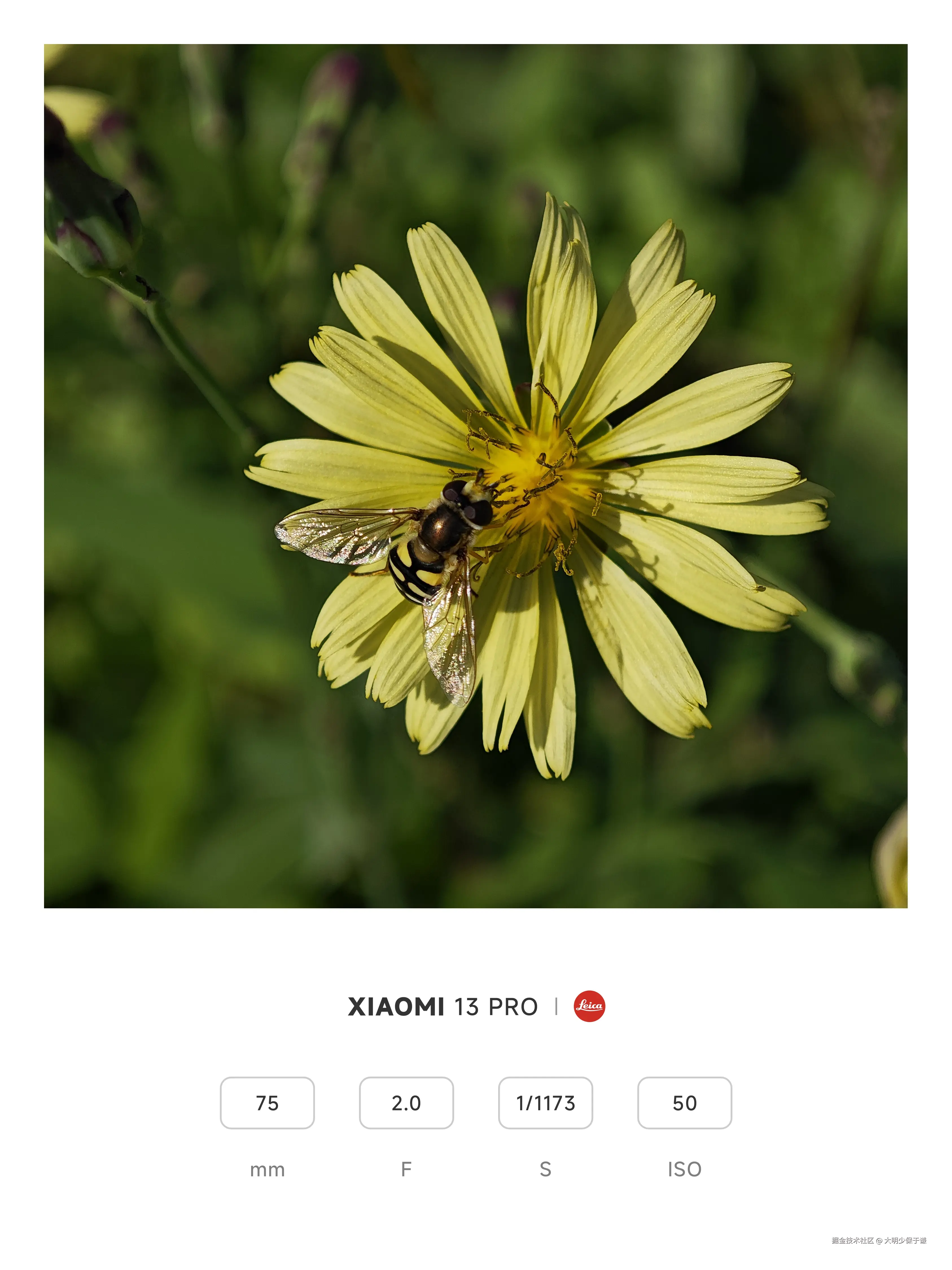 大明少保于谦于2024-11-08 11:32发布的图片