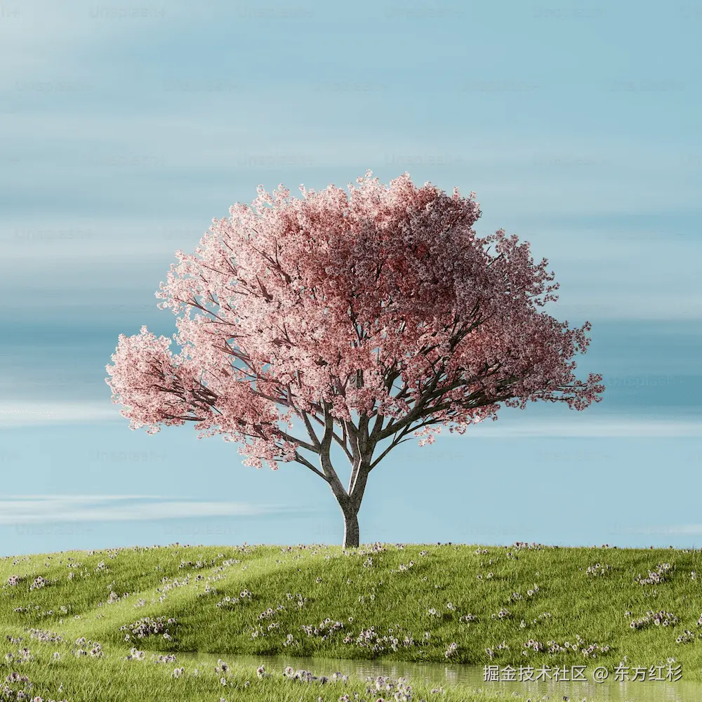 红杉的网络日志