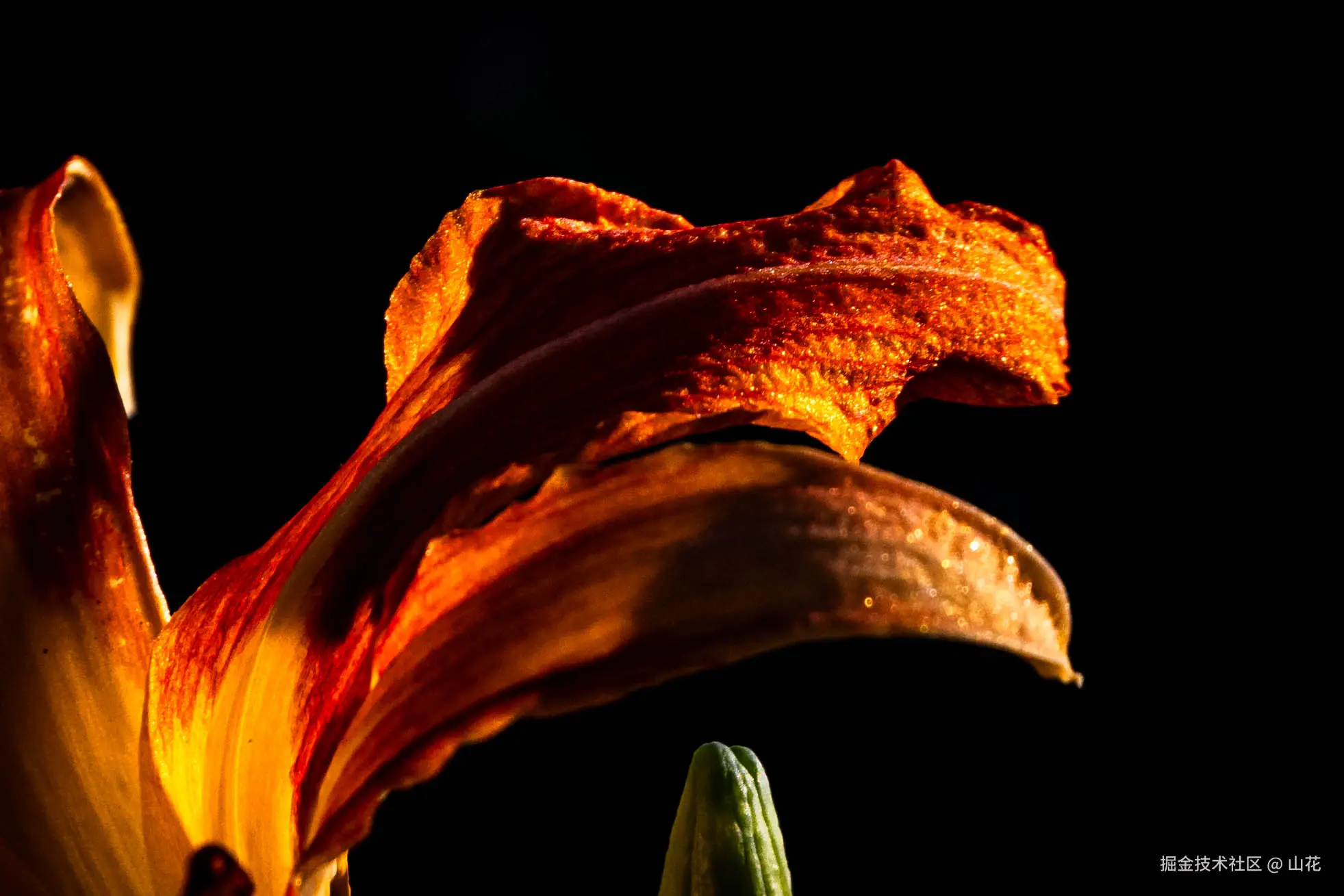 山花于2025-07-21 10:12发布的图片